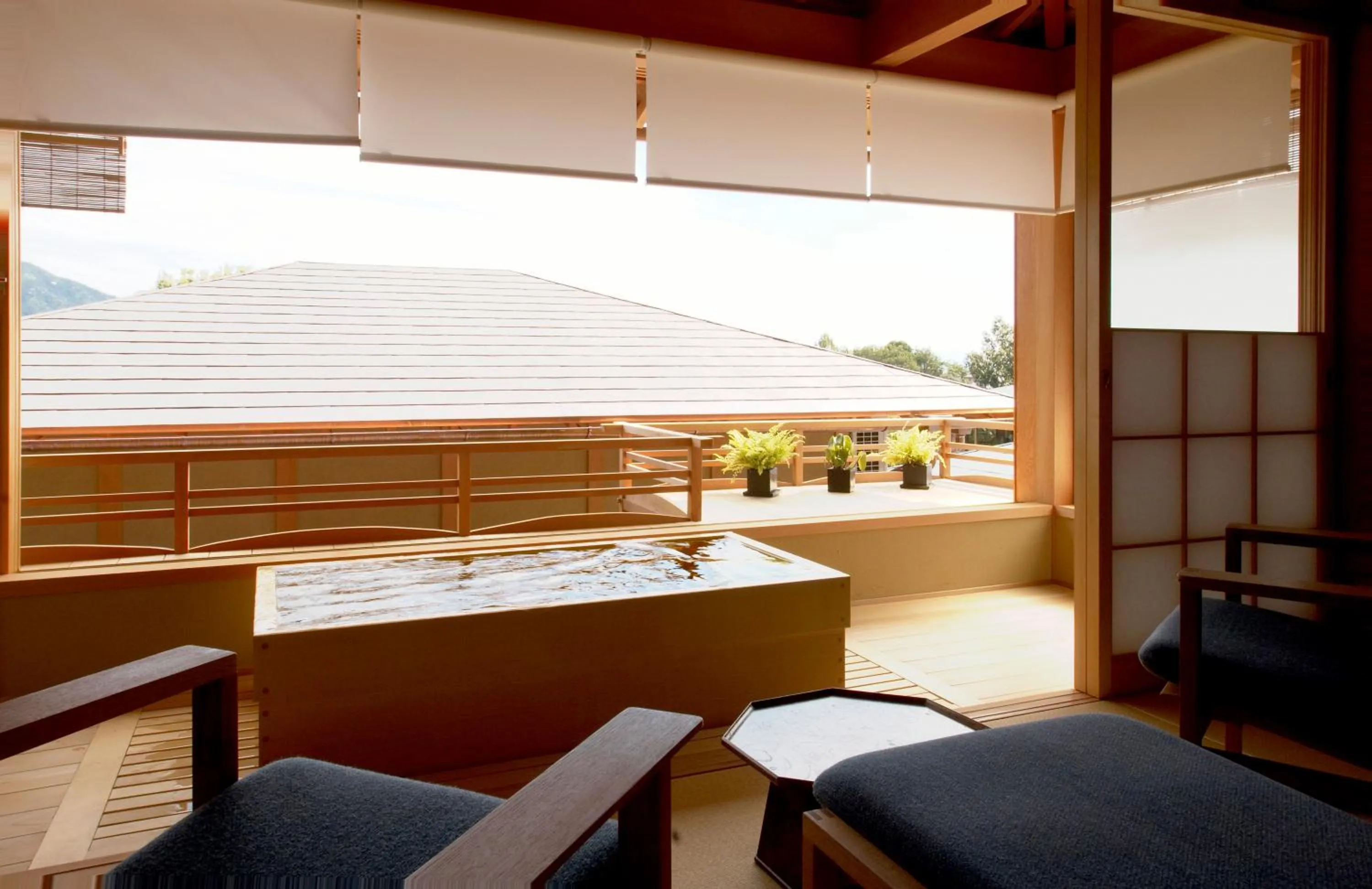 Hot Spring Bath in Sekitei