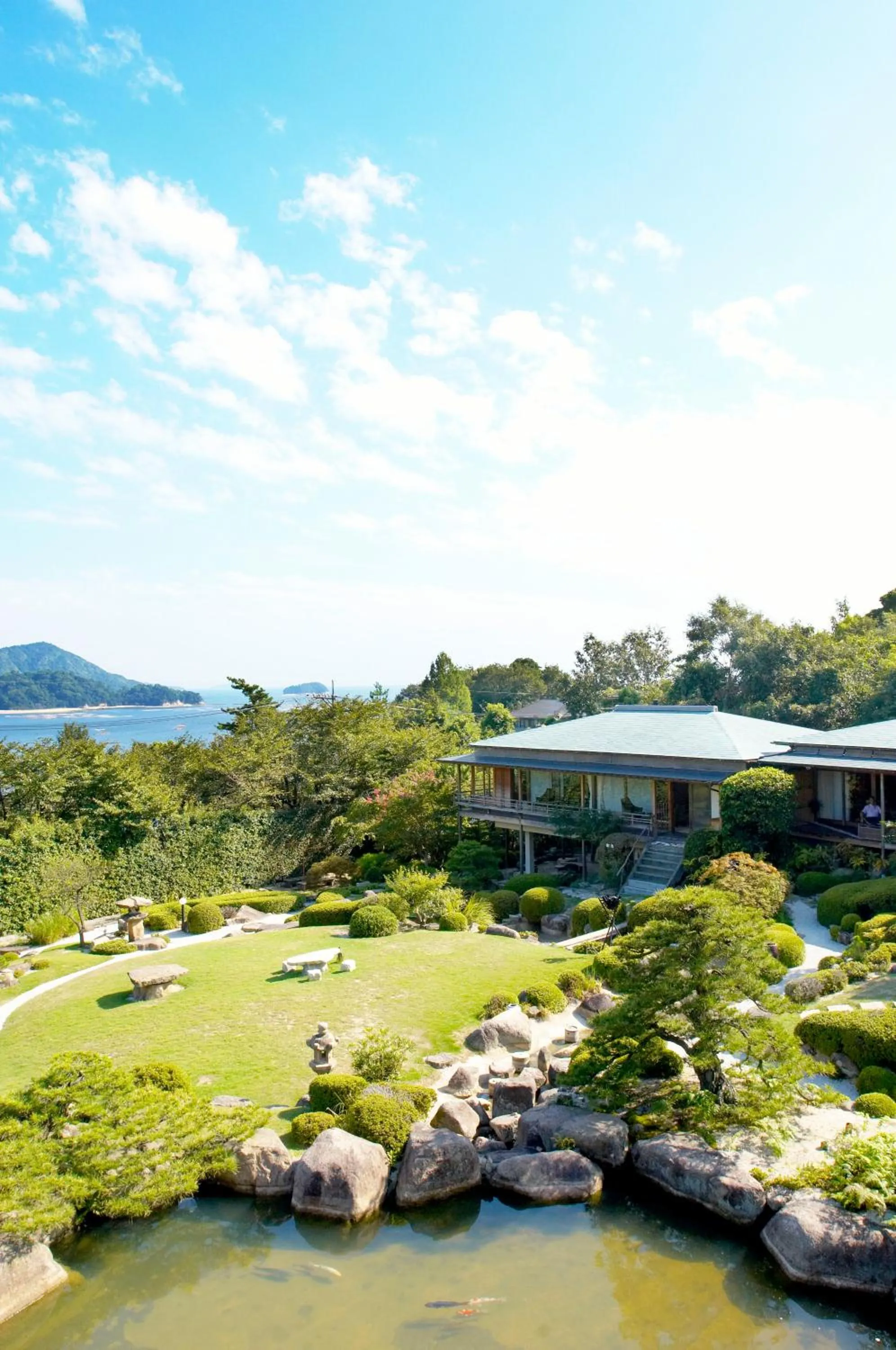 Bird's eye view in Sekitei