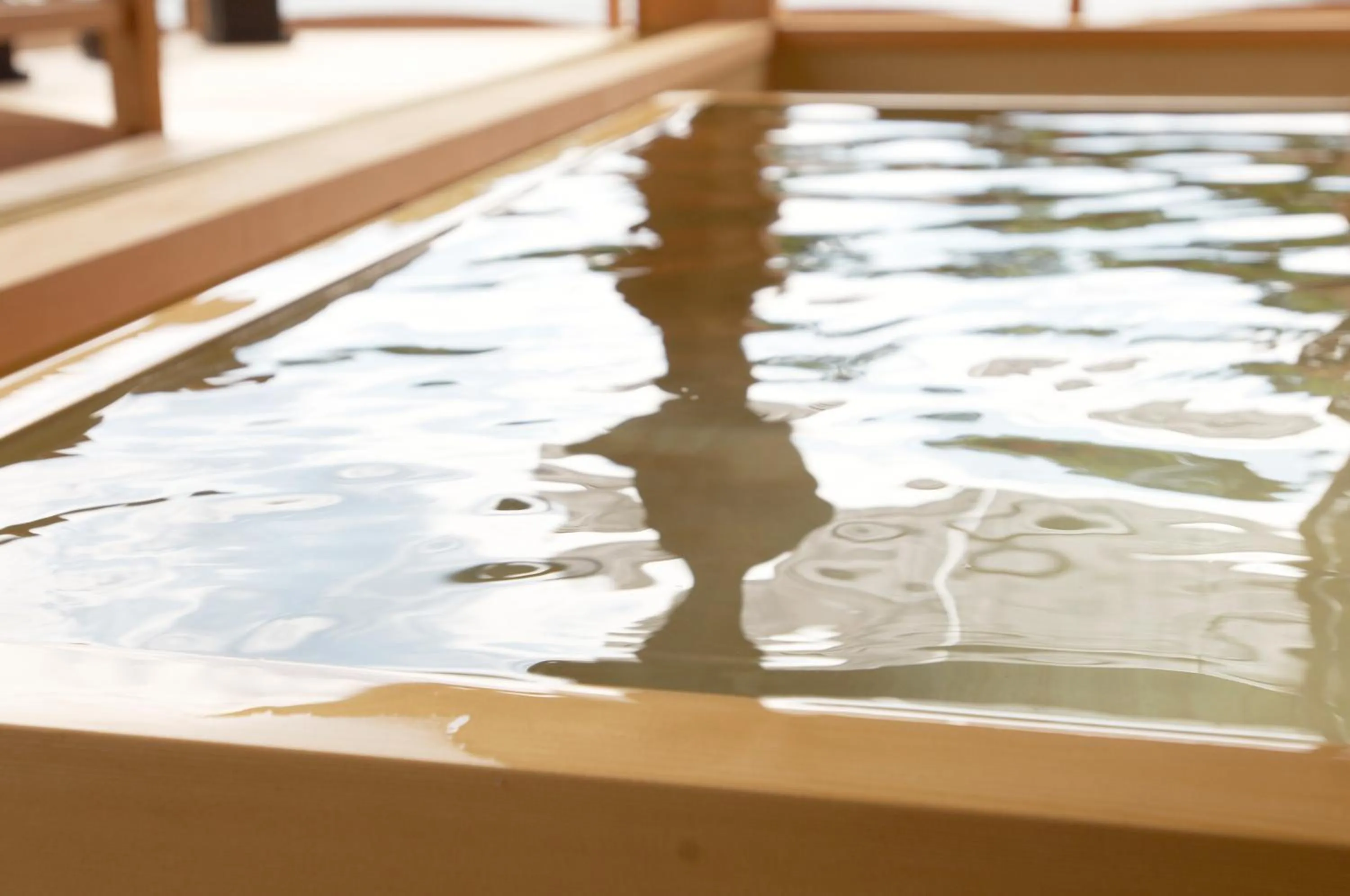 Hot Spring Bath in Sekitei