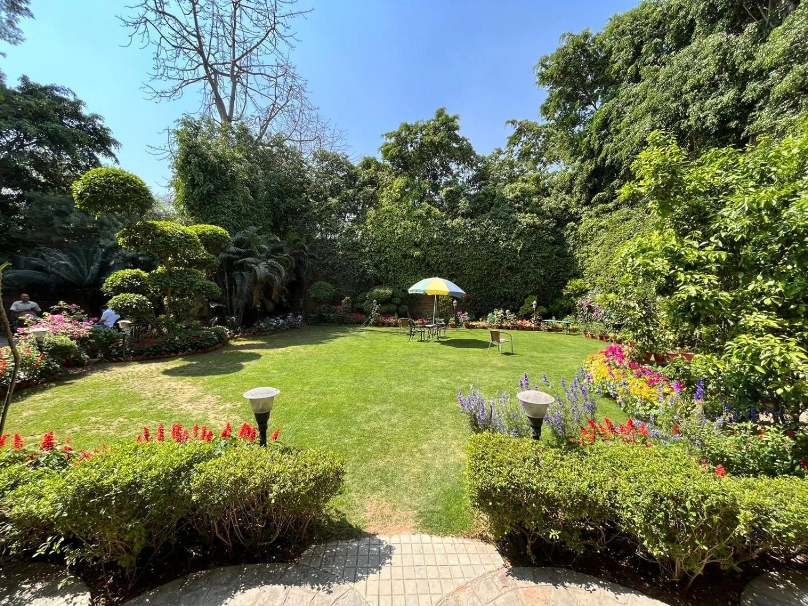 Garden in The Estate Villa