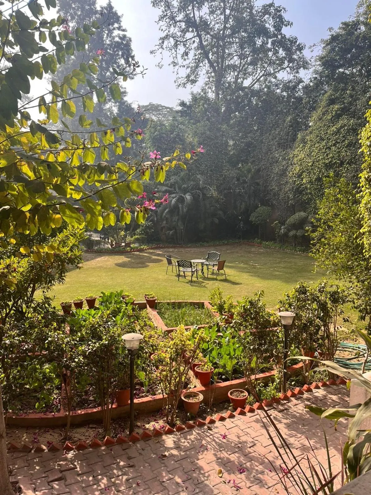 Garden in The Estate Villa