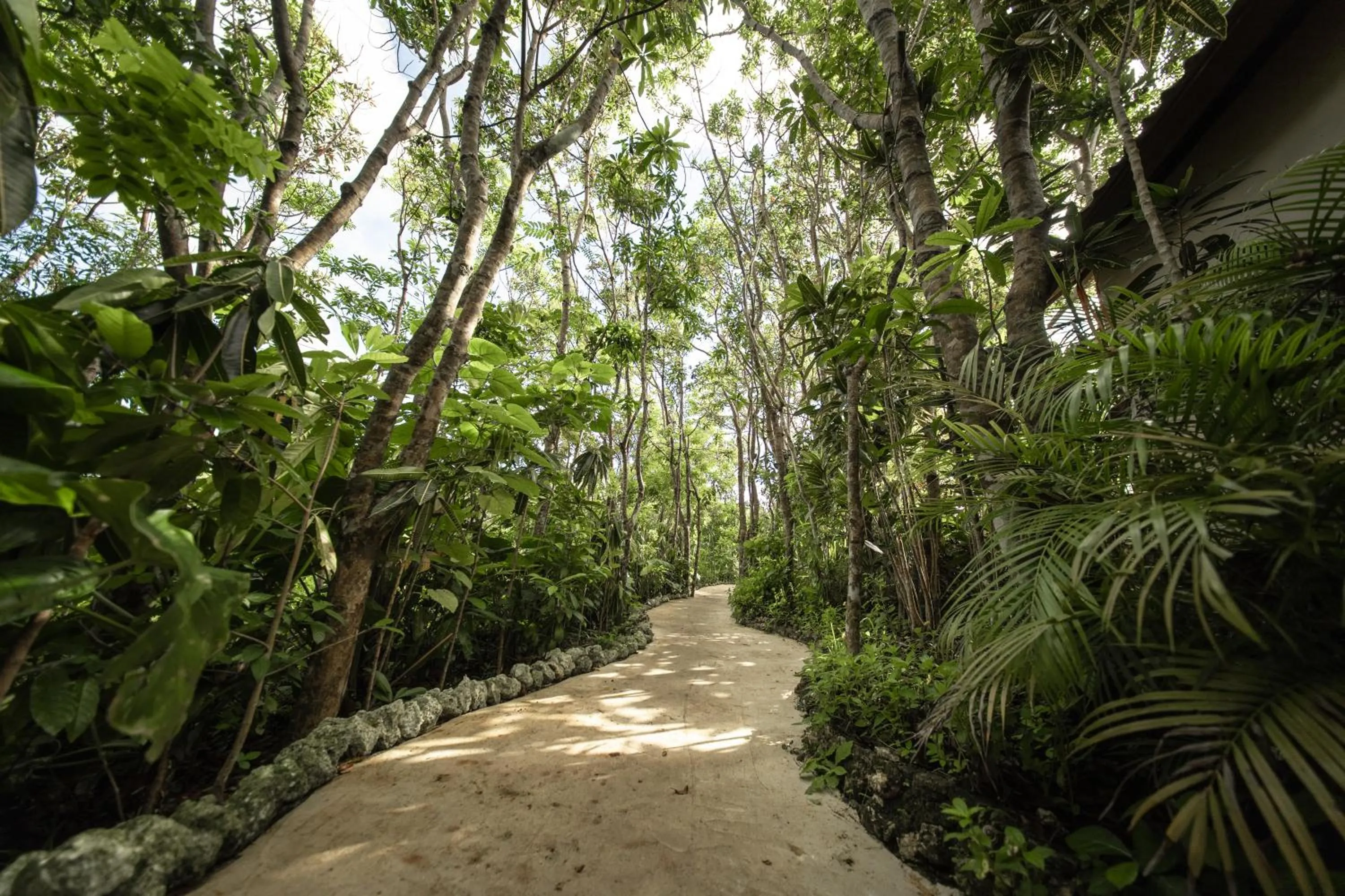 Area and facilities in The Mesare Eco Resort