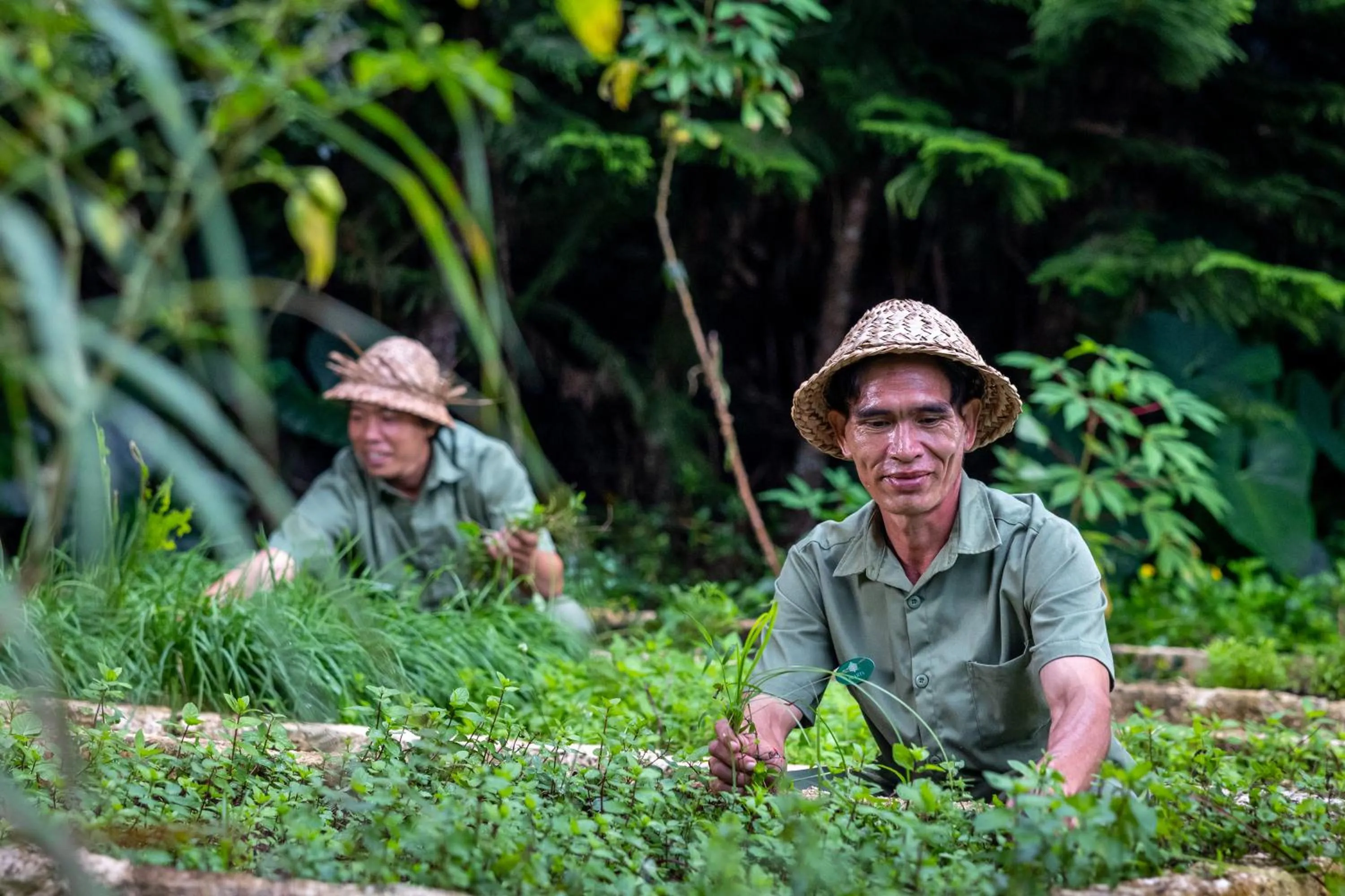 People in The Mesare Eco Resort