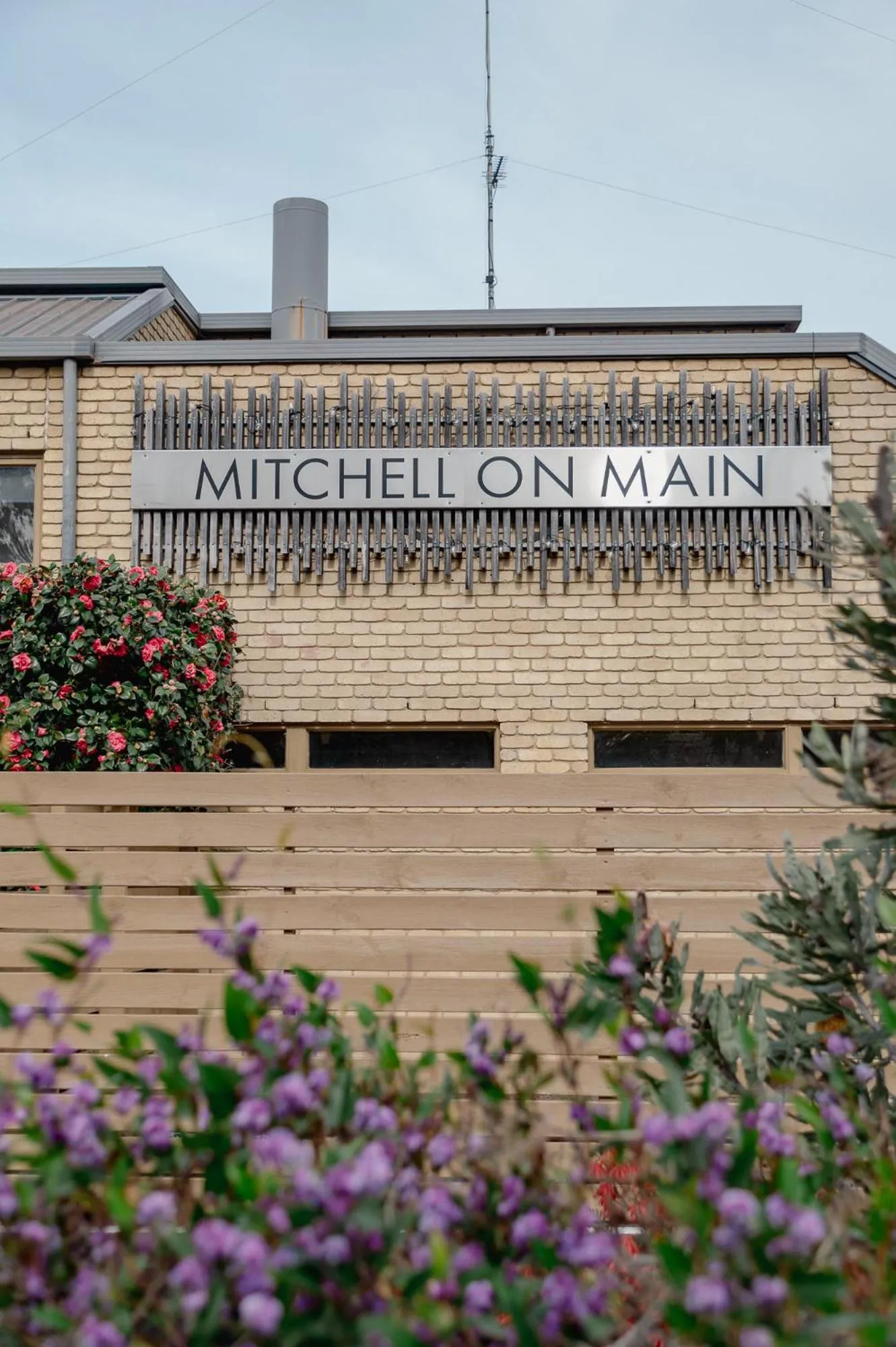 Street view in Mitchell On Main
