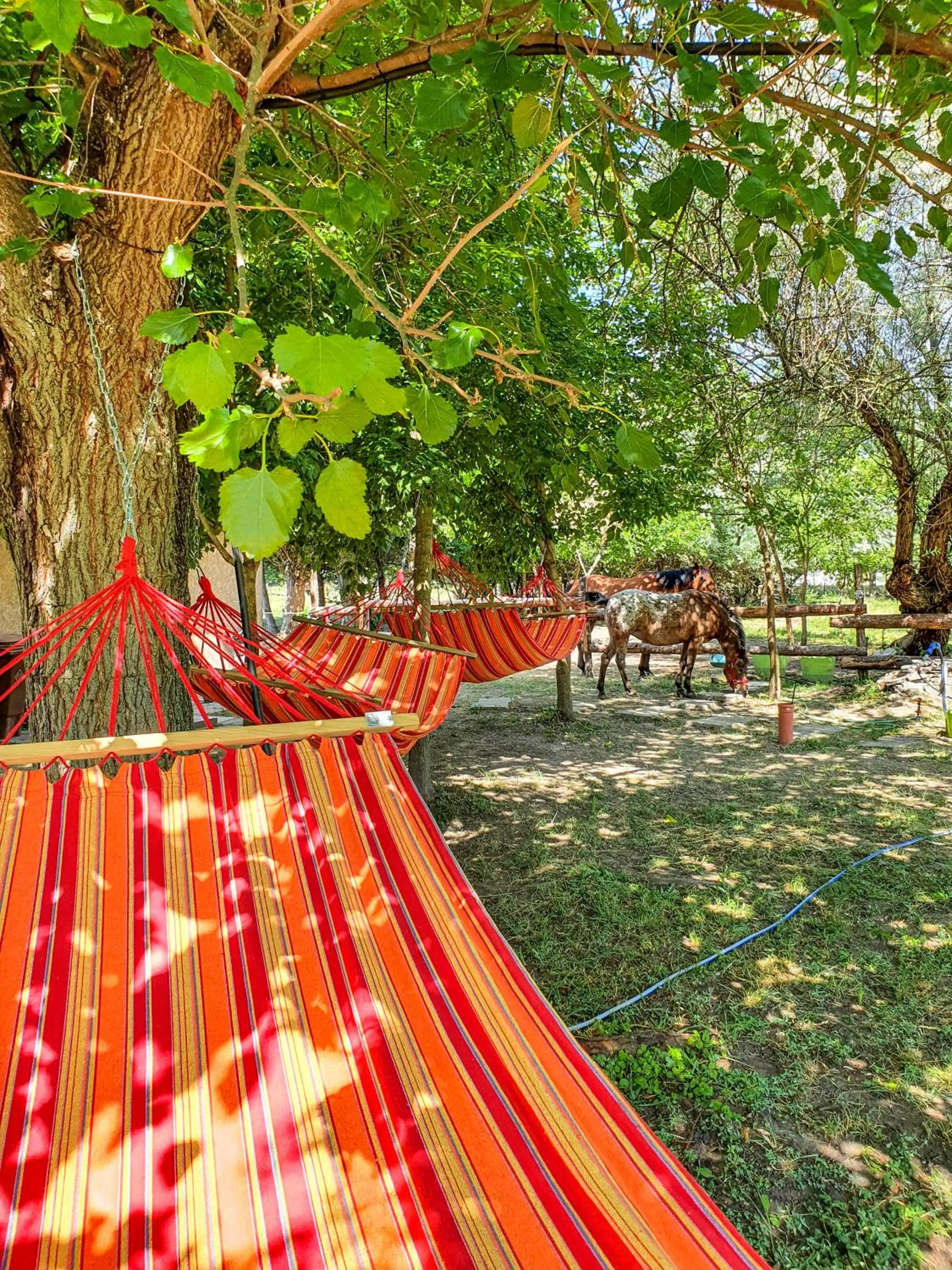 Garden in Bauer Resort Countryside Retreat