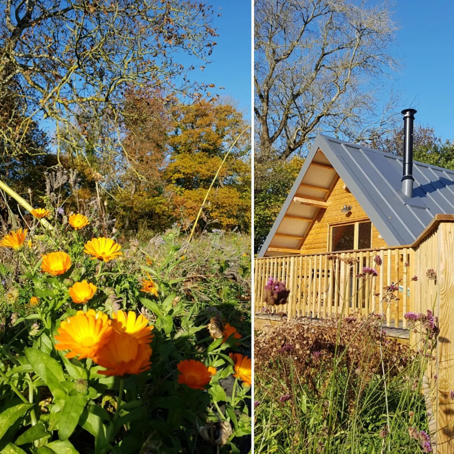 Garden view in Domaine de la Fauvriere
