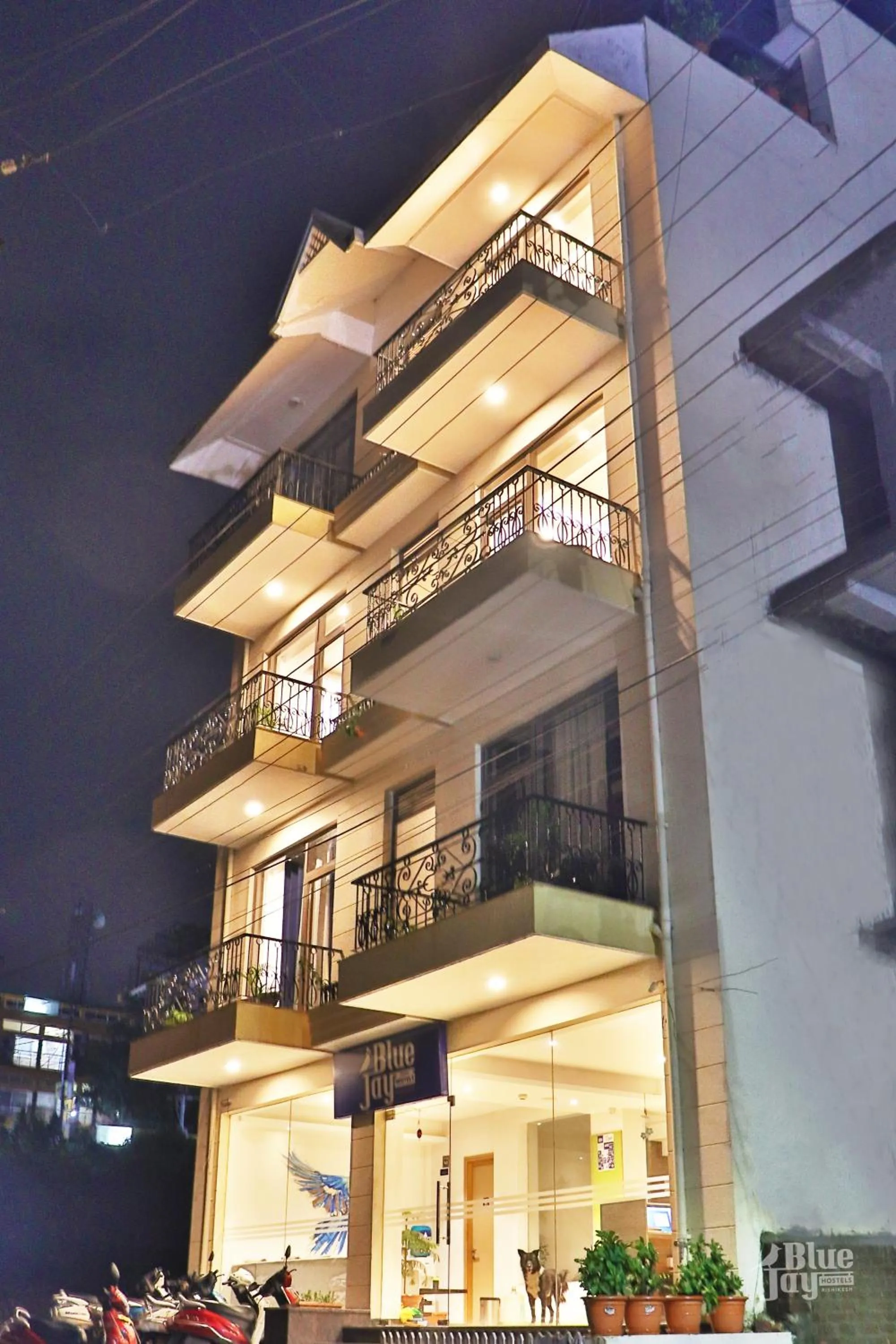 Property building in The Blue Jay Hostel - Dorms & Rooms