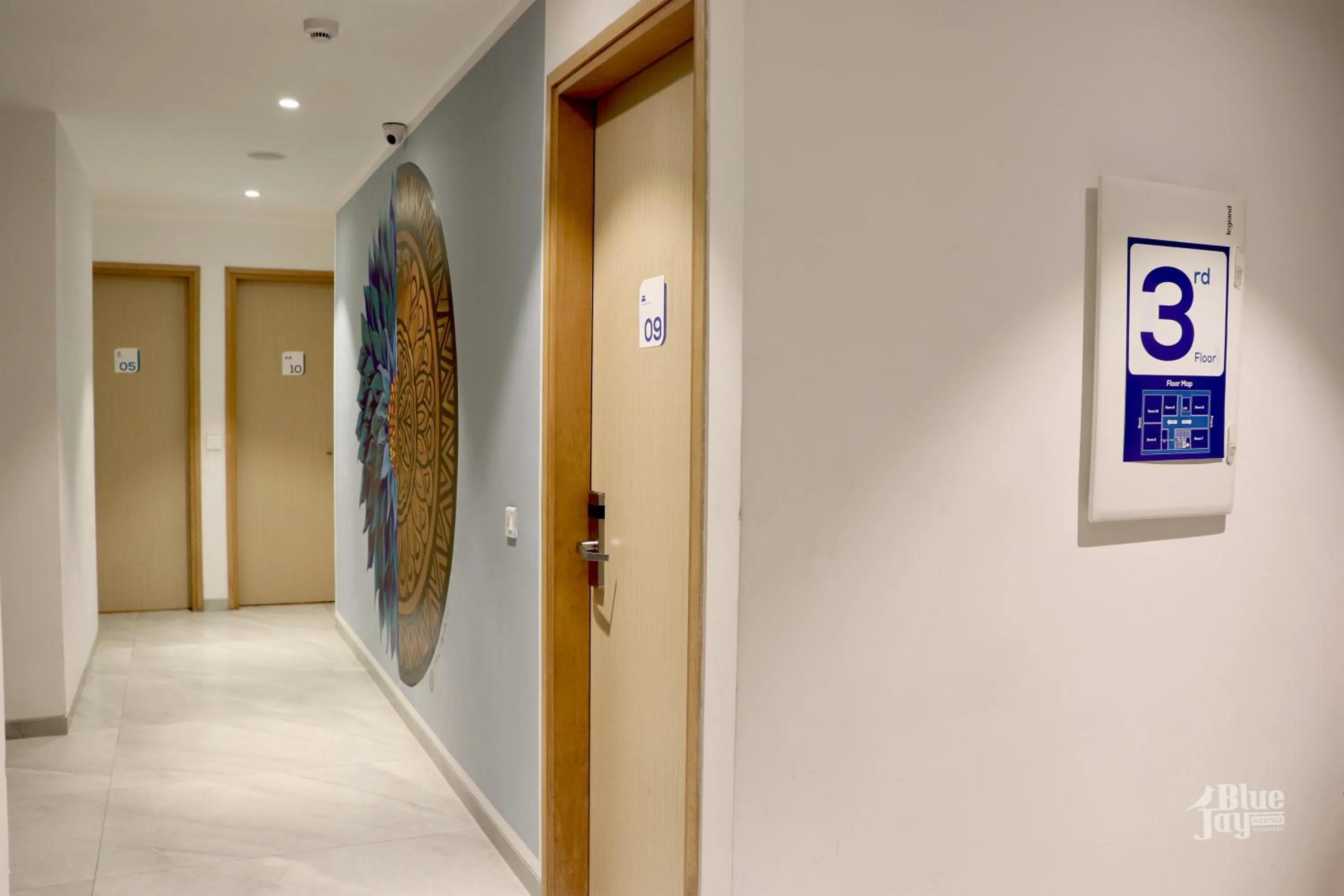 Property logo or sign in The Blue Jay Hostel - Dorms & Rooms