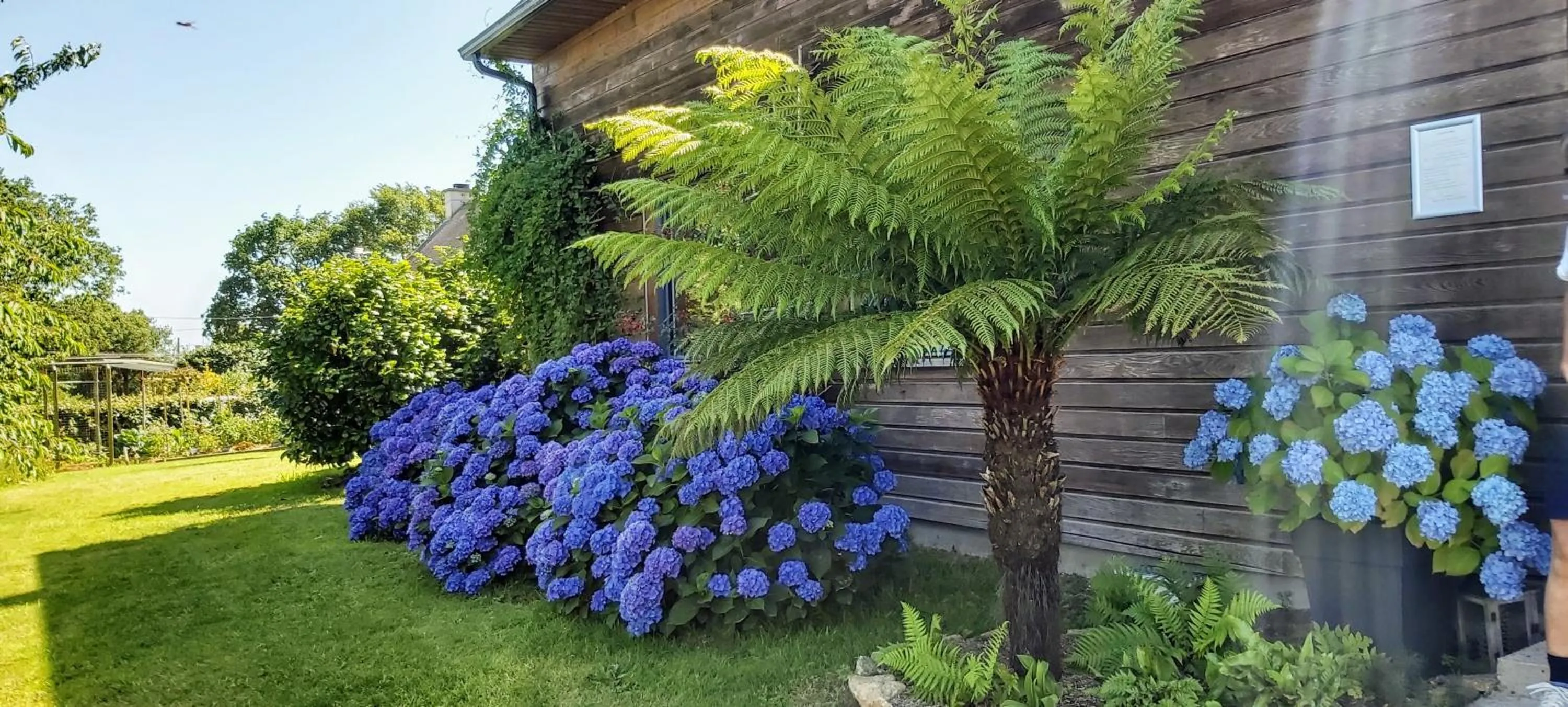 Garden in L'Oustaou du Bodo