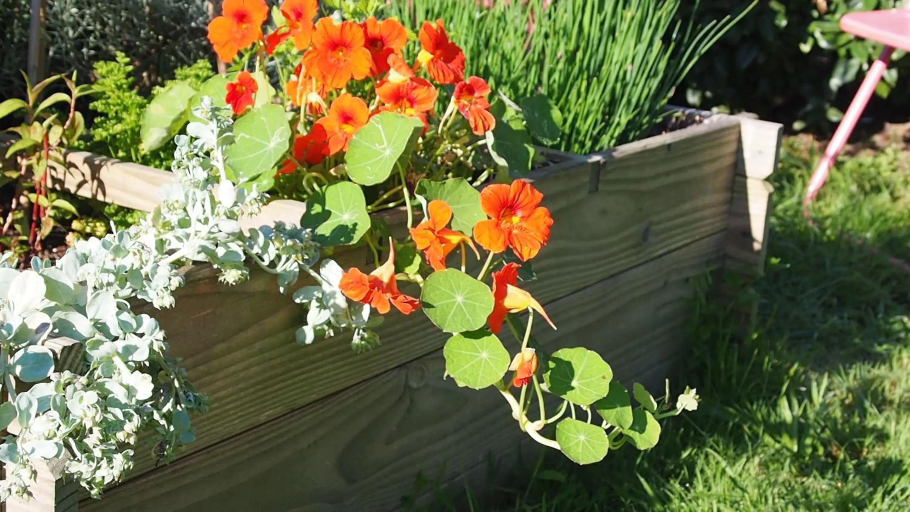 Garden in L'Oustaou du Bodo
