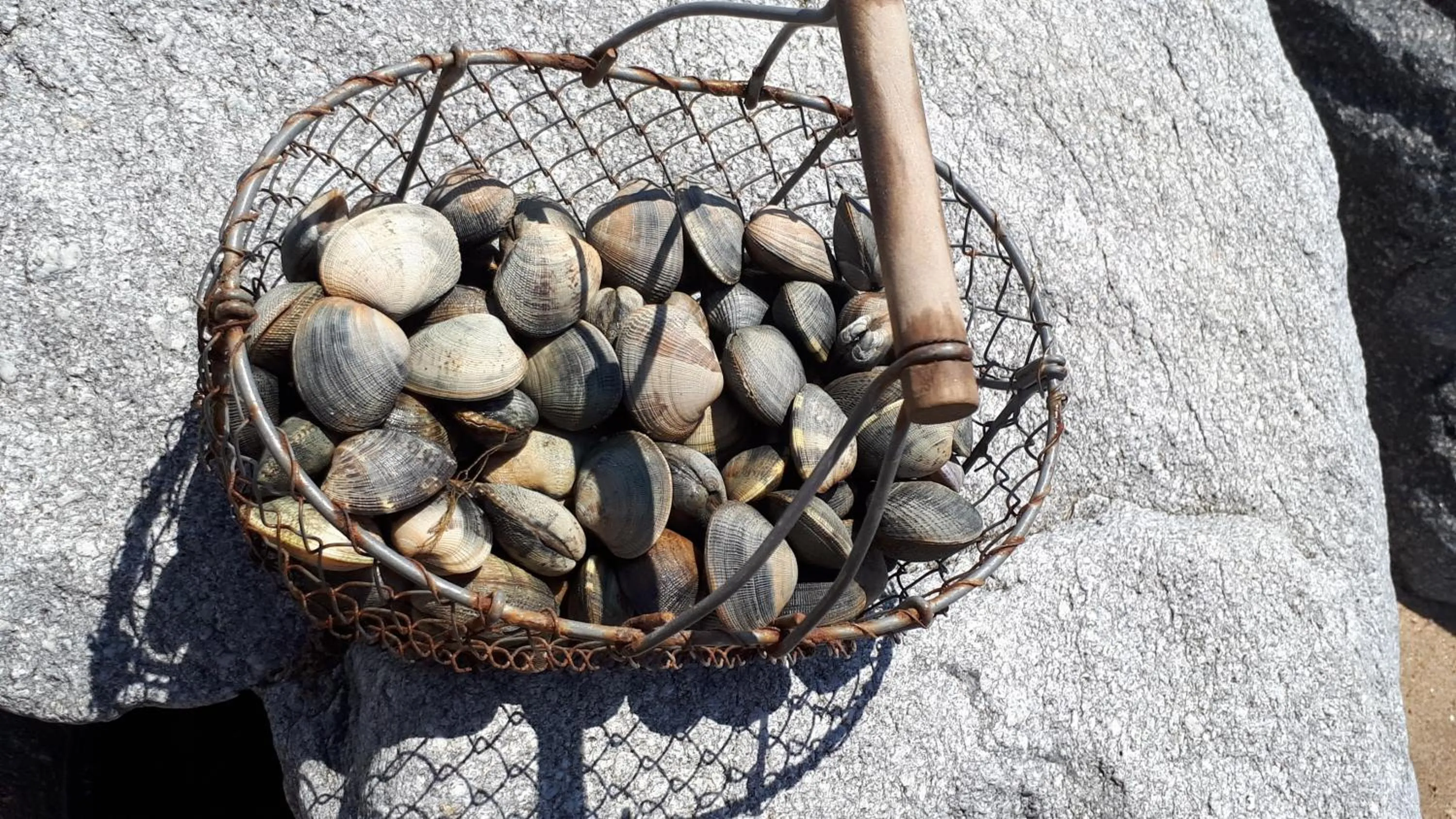 Fishing in L'Oustaou du Bodo