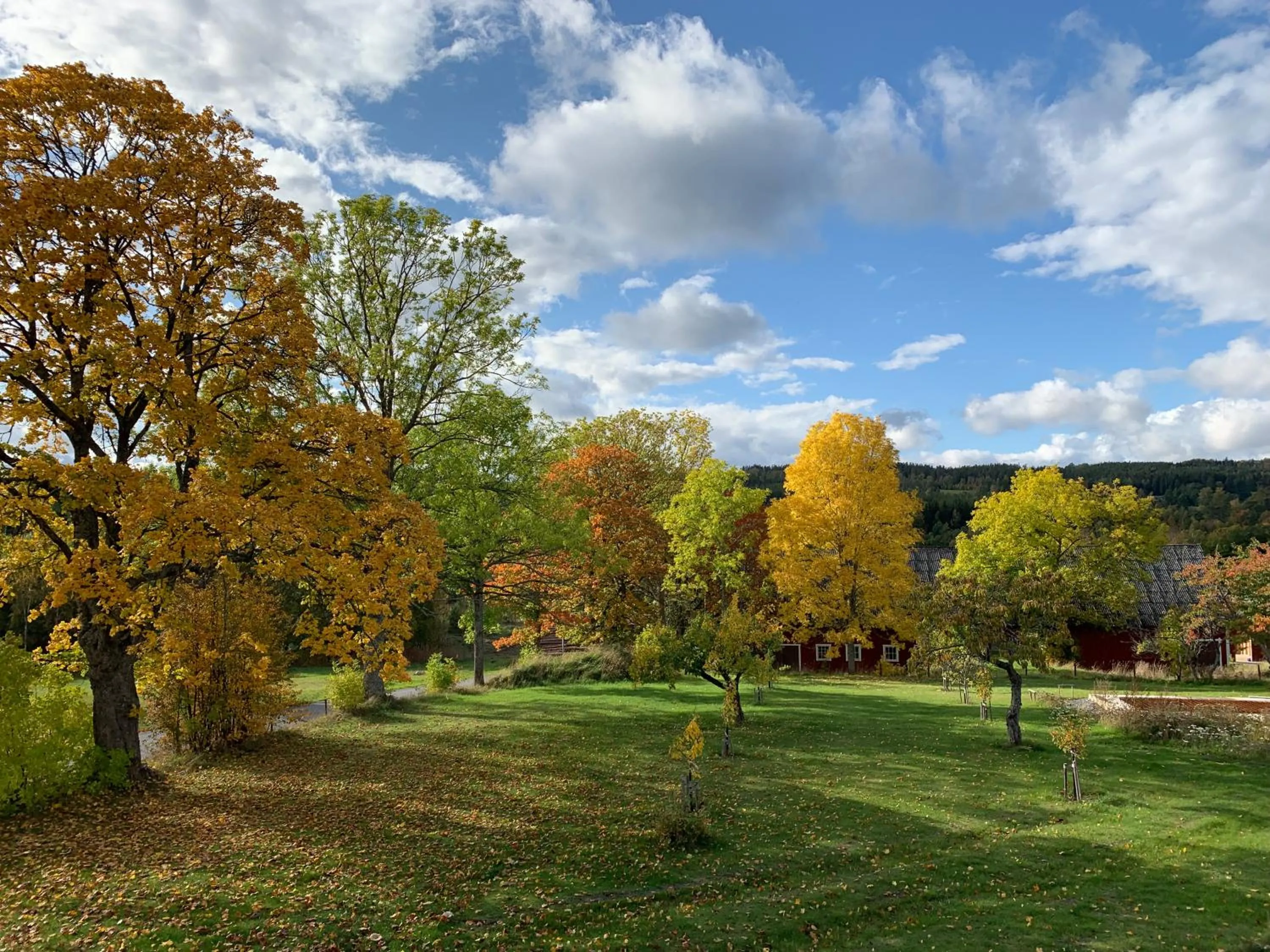 Day in Mamma Carinas Pensionat B&B