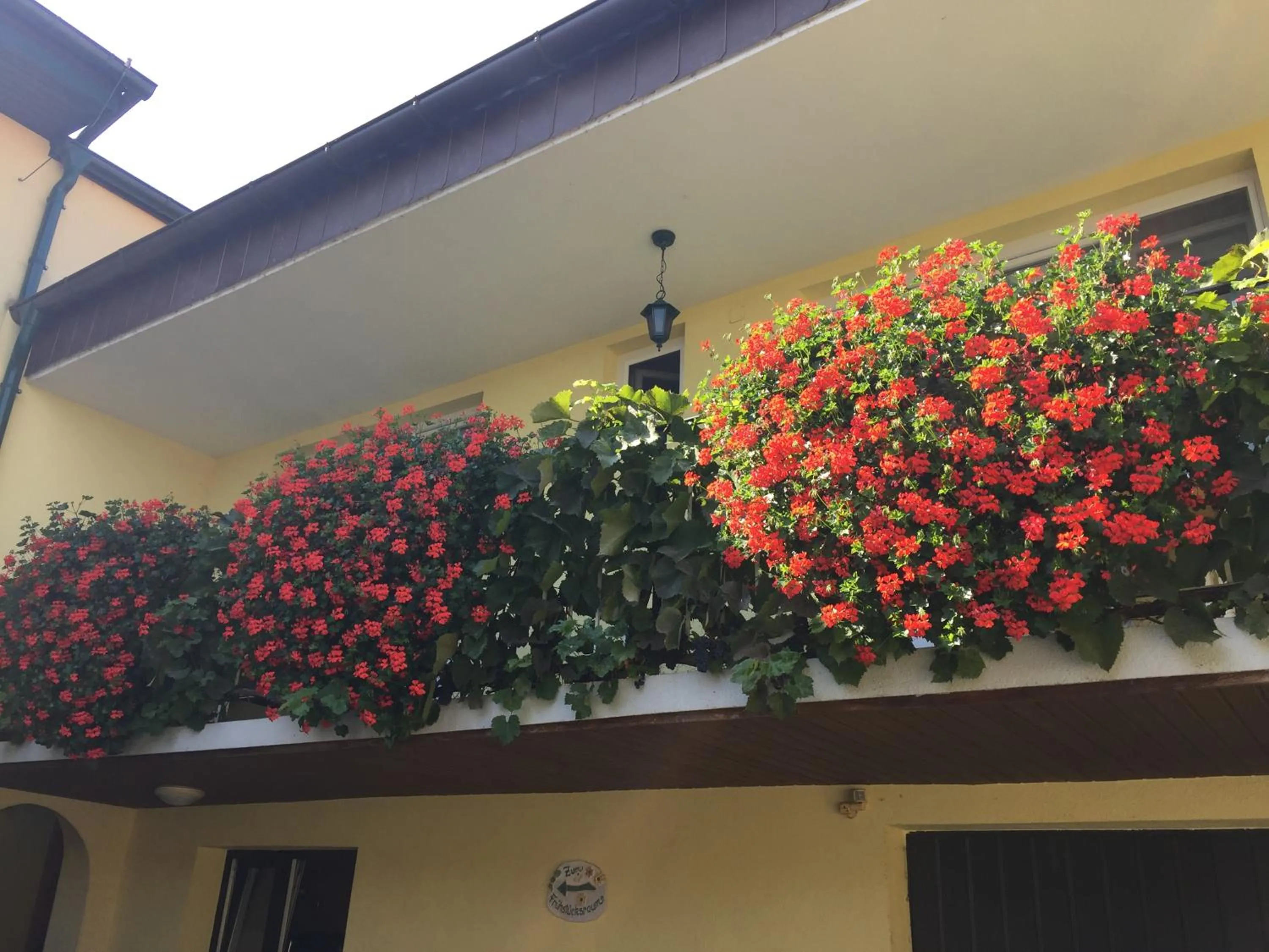 Patio in Pension Peterhof