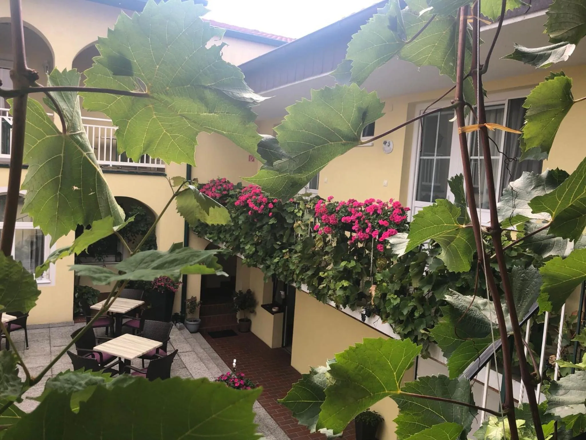 Patio in Pension Peterhof
