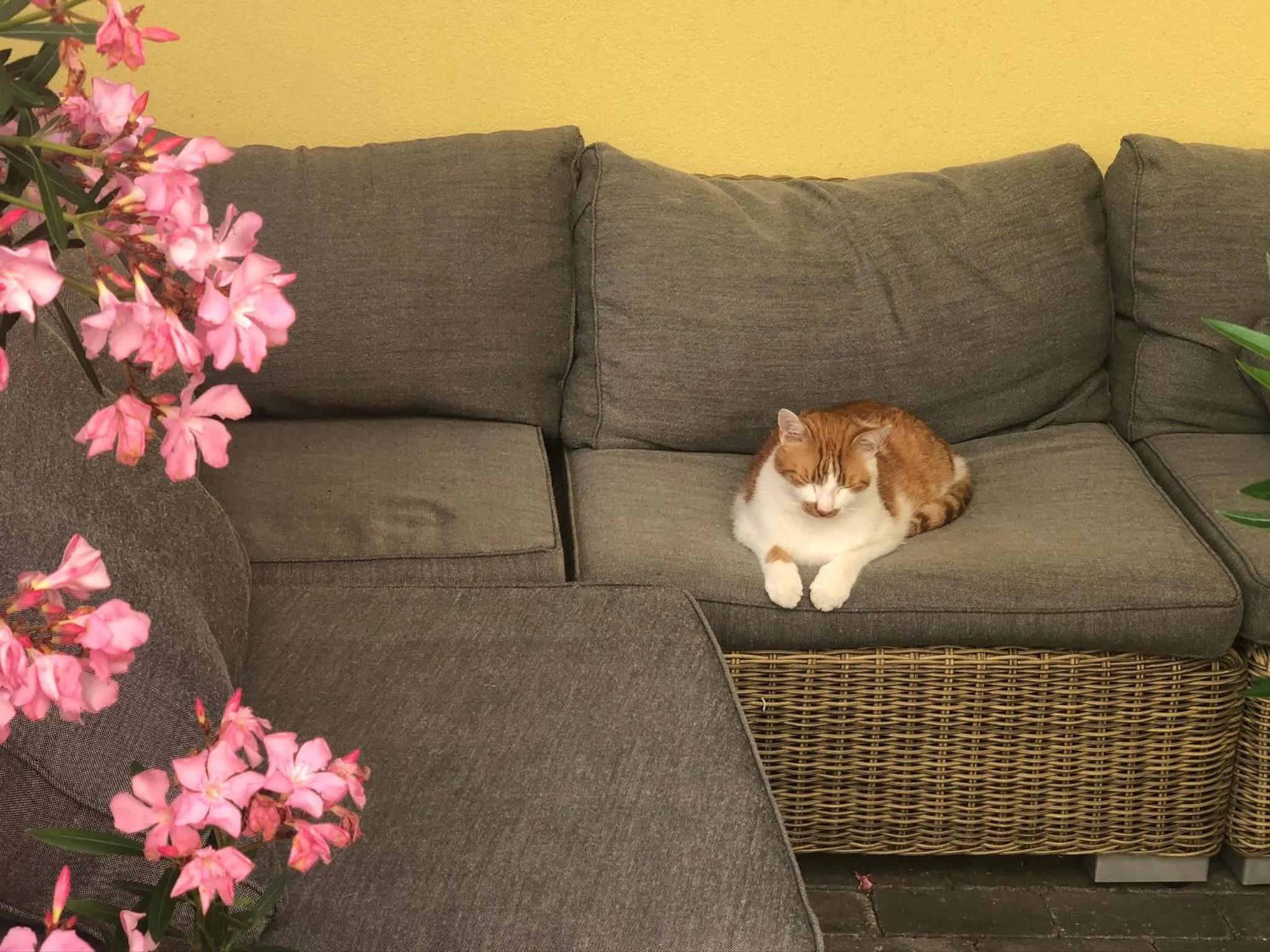 Seating area in Pension Peterhof