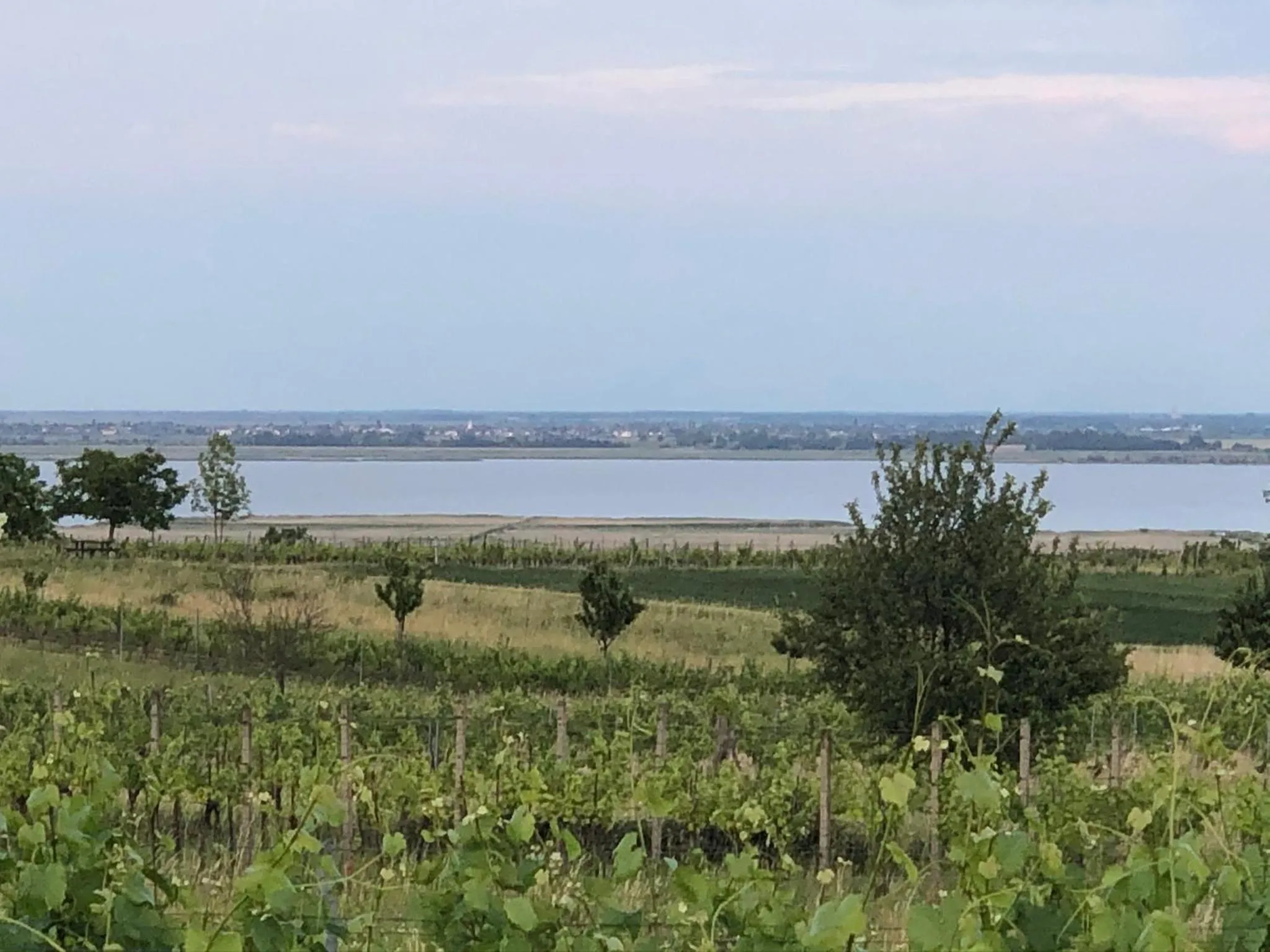 Natural landscape in Pension Peterhof