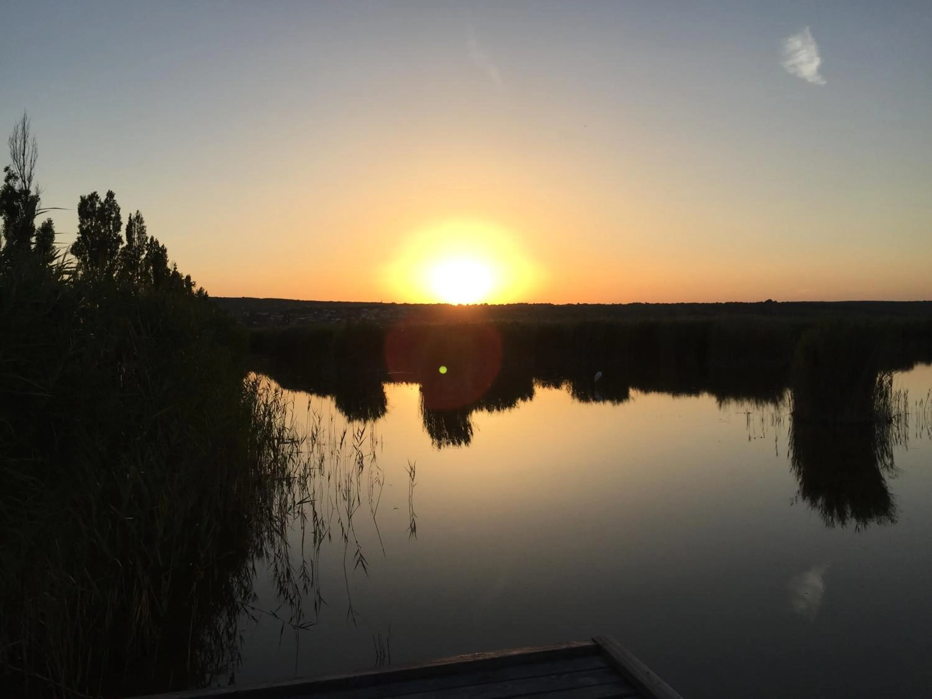 Summer in Pension Peterhof