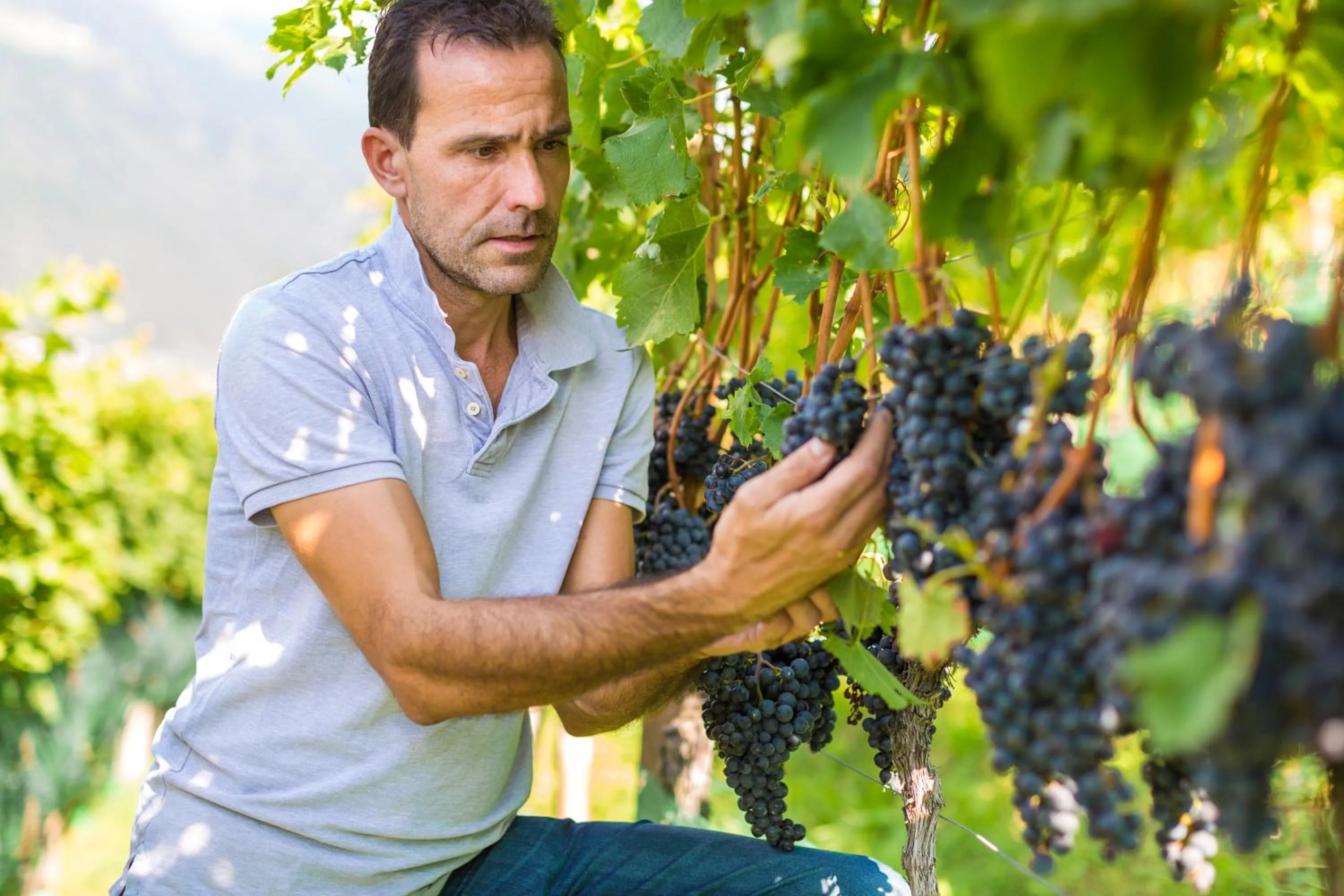 Staff in Hotel Weingut Innerleiterhof