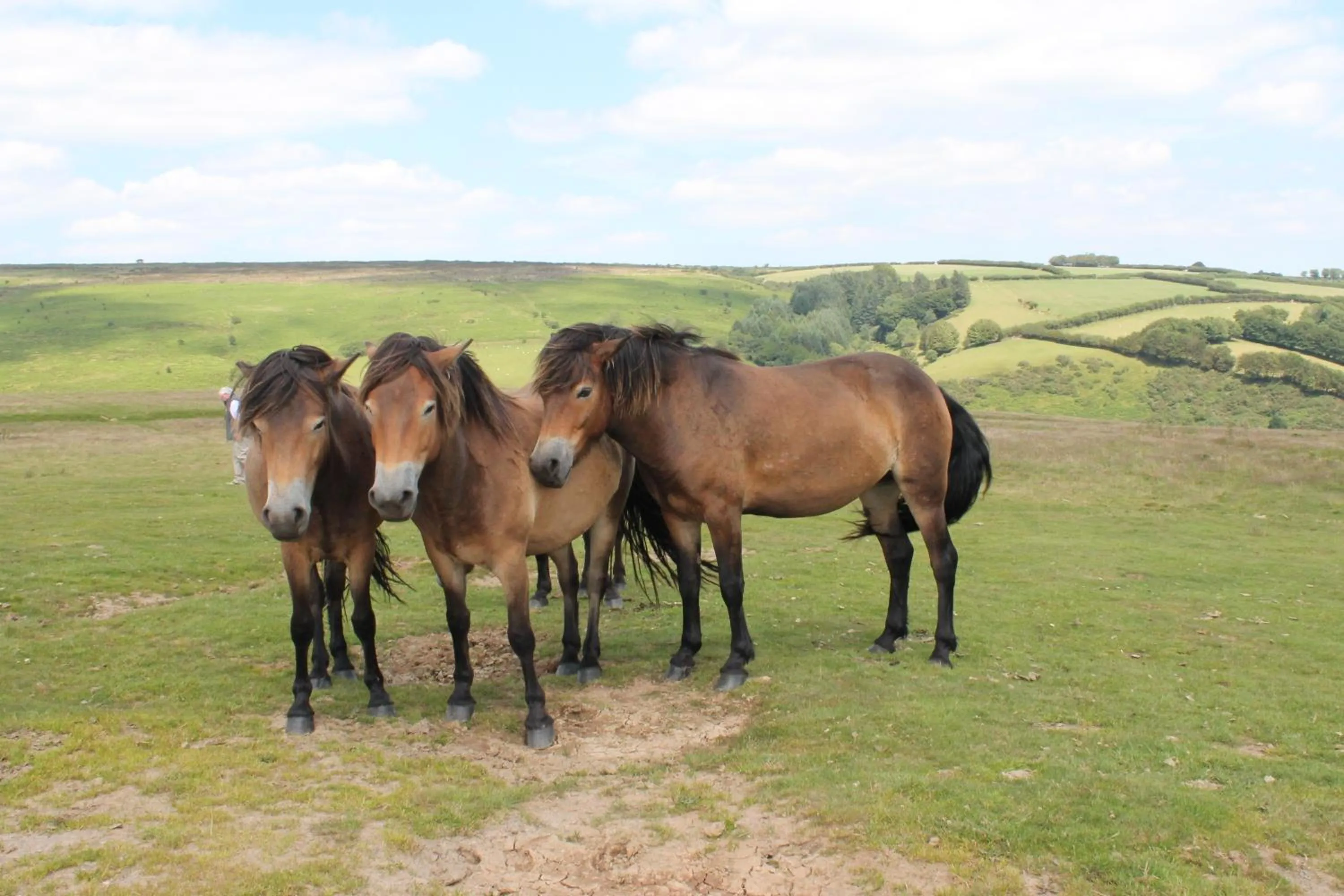 Day in Rock House Hotel