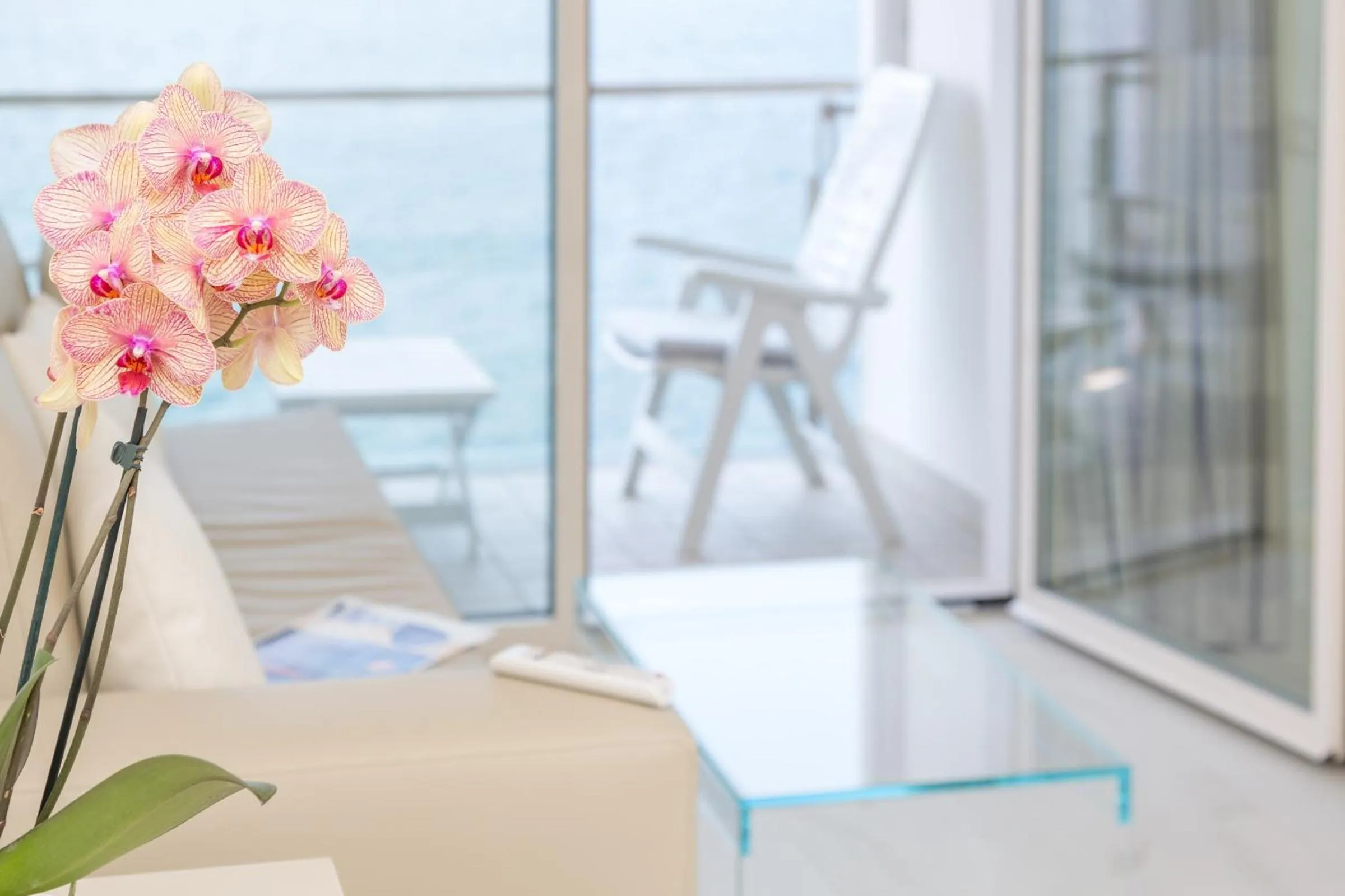 Balcony/Terrace in Hotel Vega