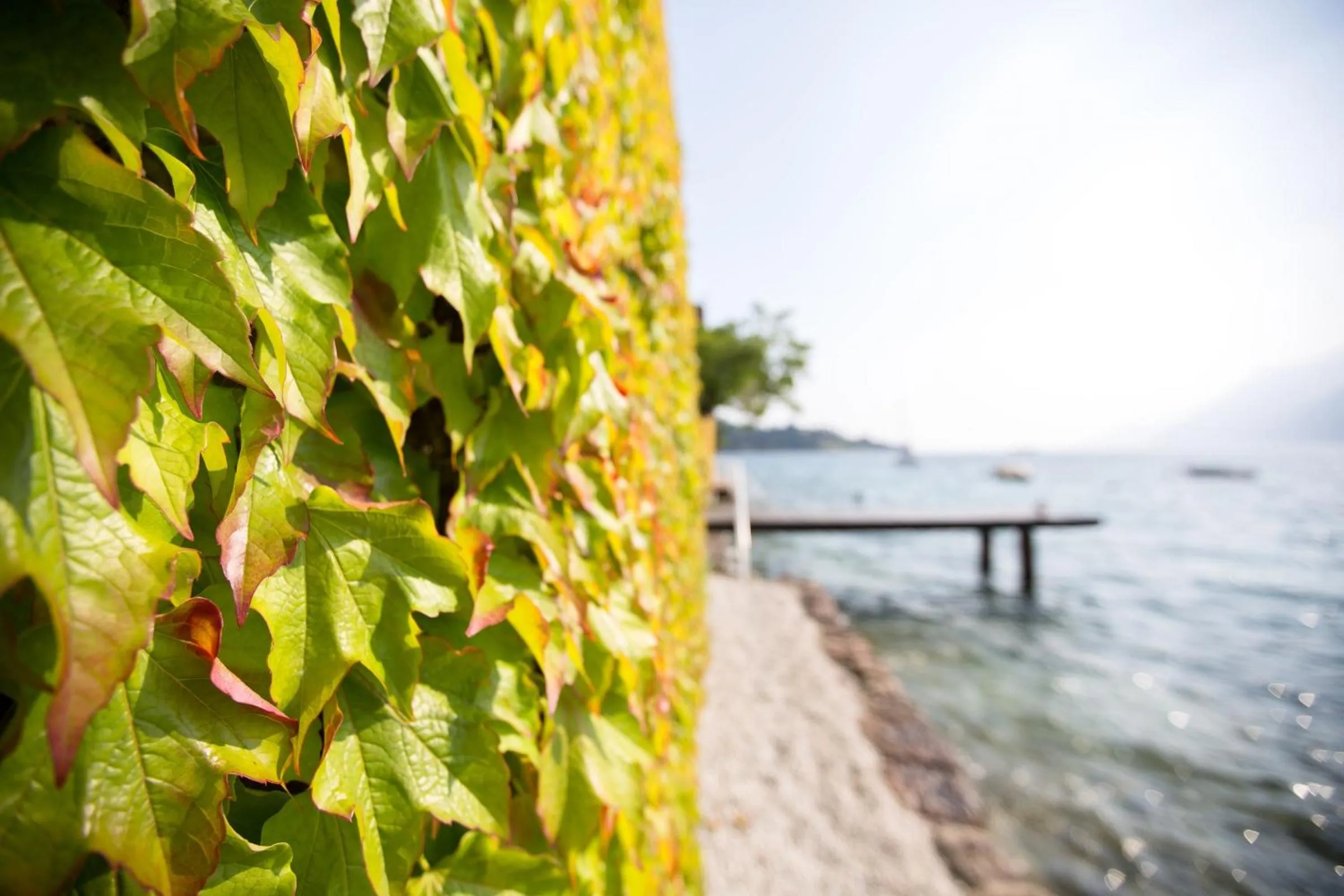 Lake view in Hotel Vega