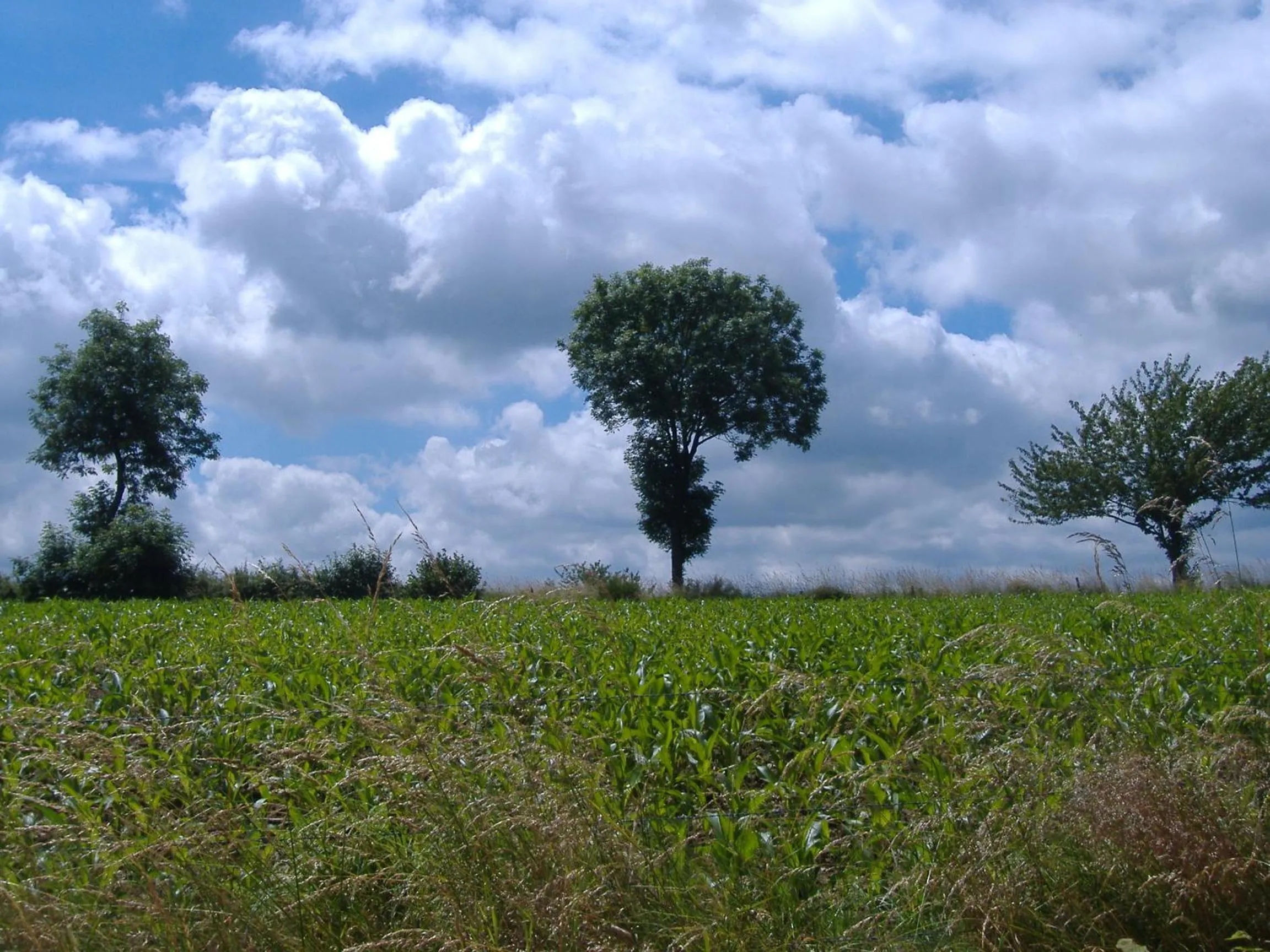 Area and facilities in Chambres et Table d'hôtes Il Fut Un Temps...