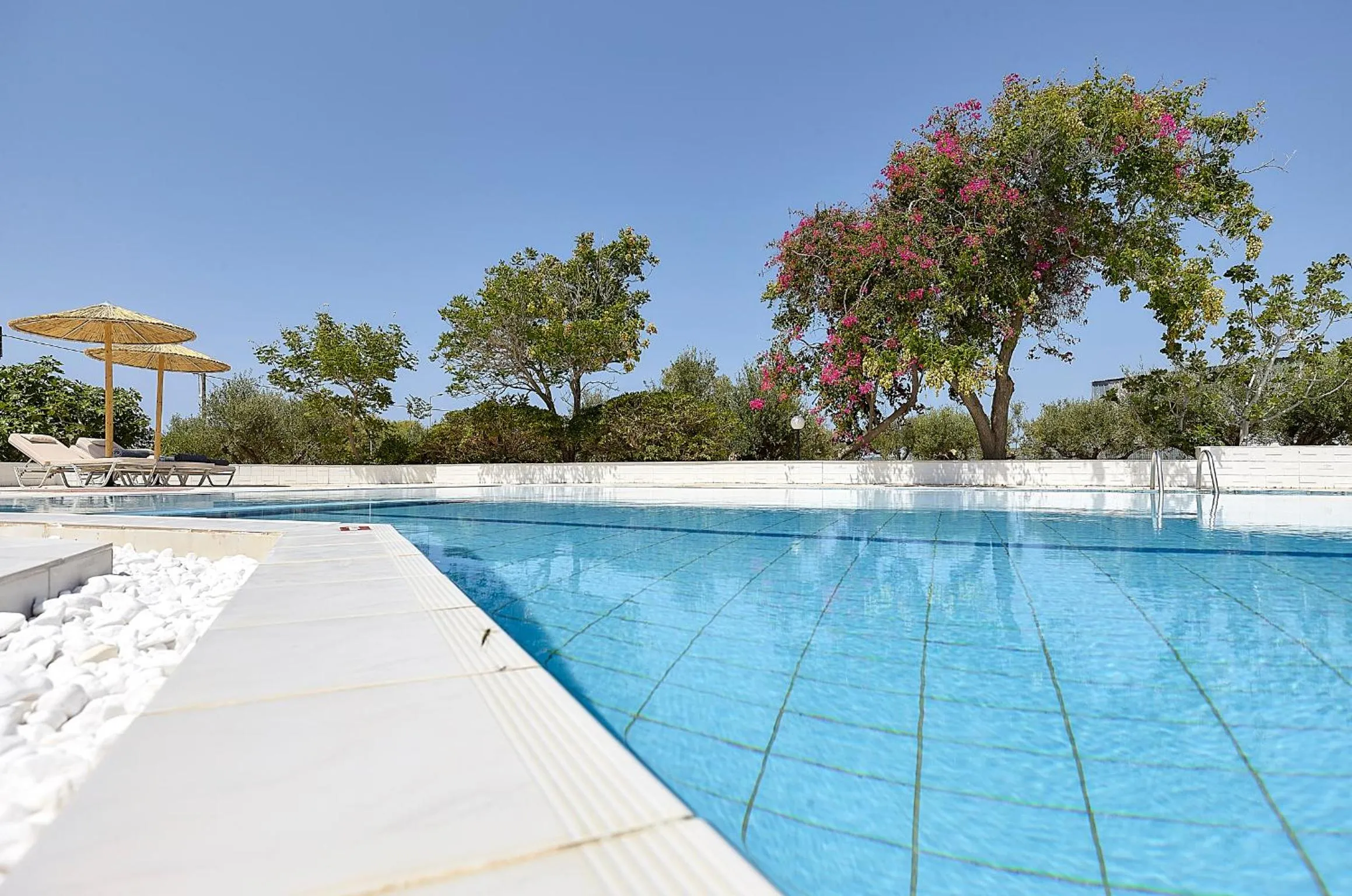 Swimming pool in Vasia Royal Hotel