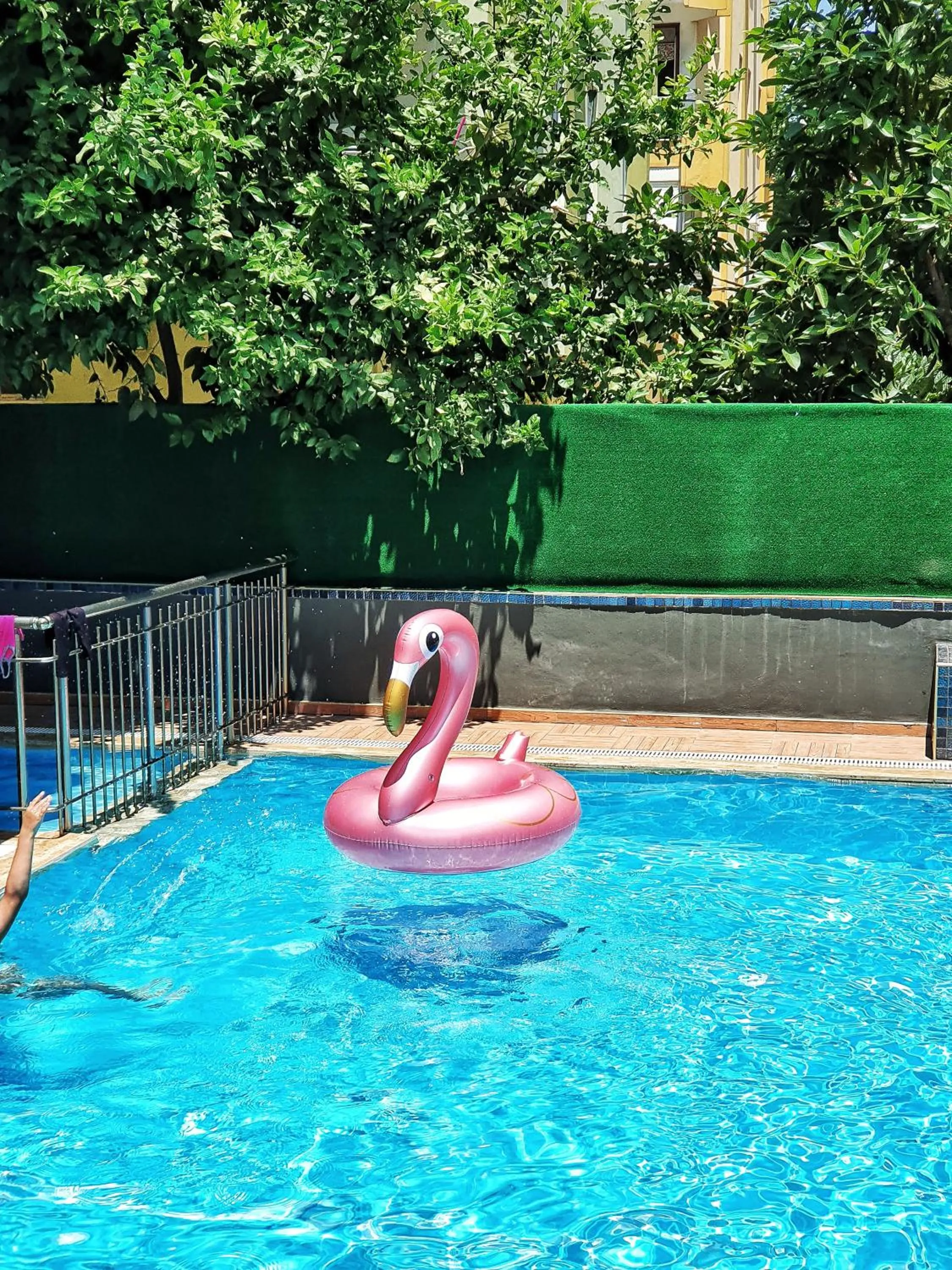 Swimming Pool in My New Hotel