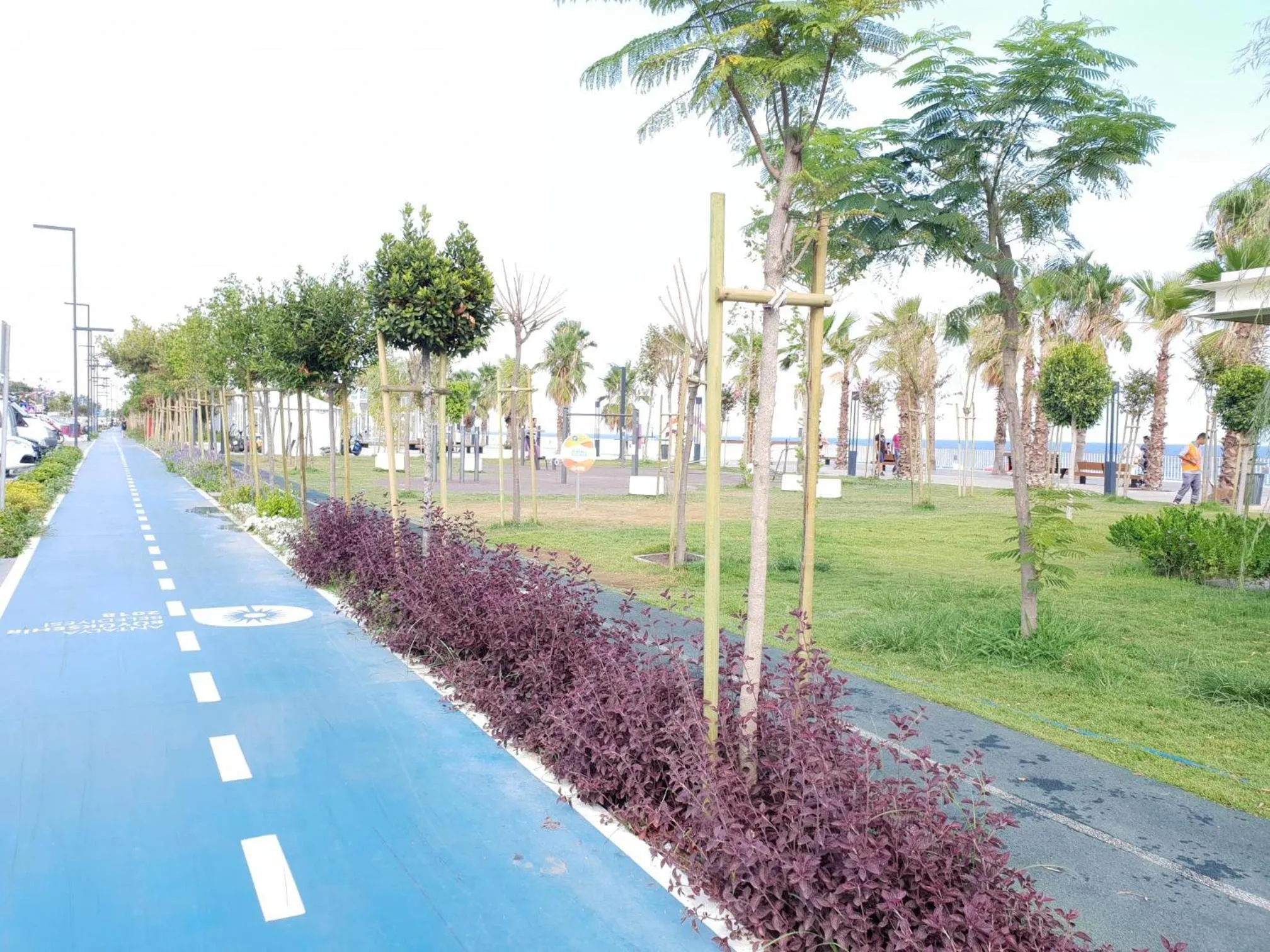 Property building in My New Hotel