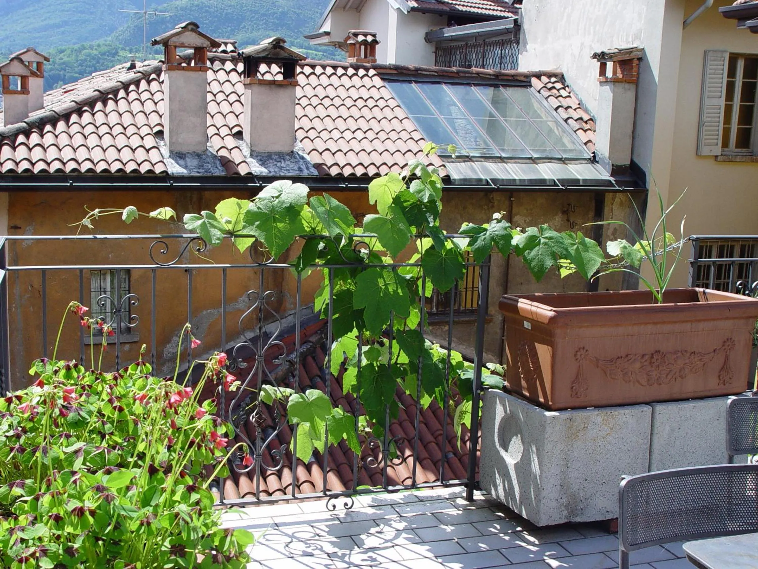 Balcony/Terrace in Hotel Centrale Bellagio