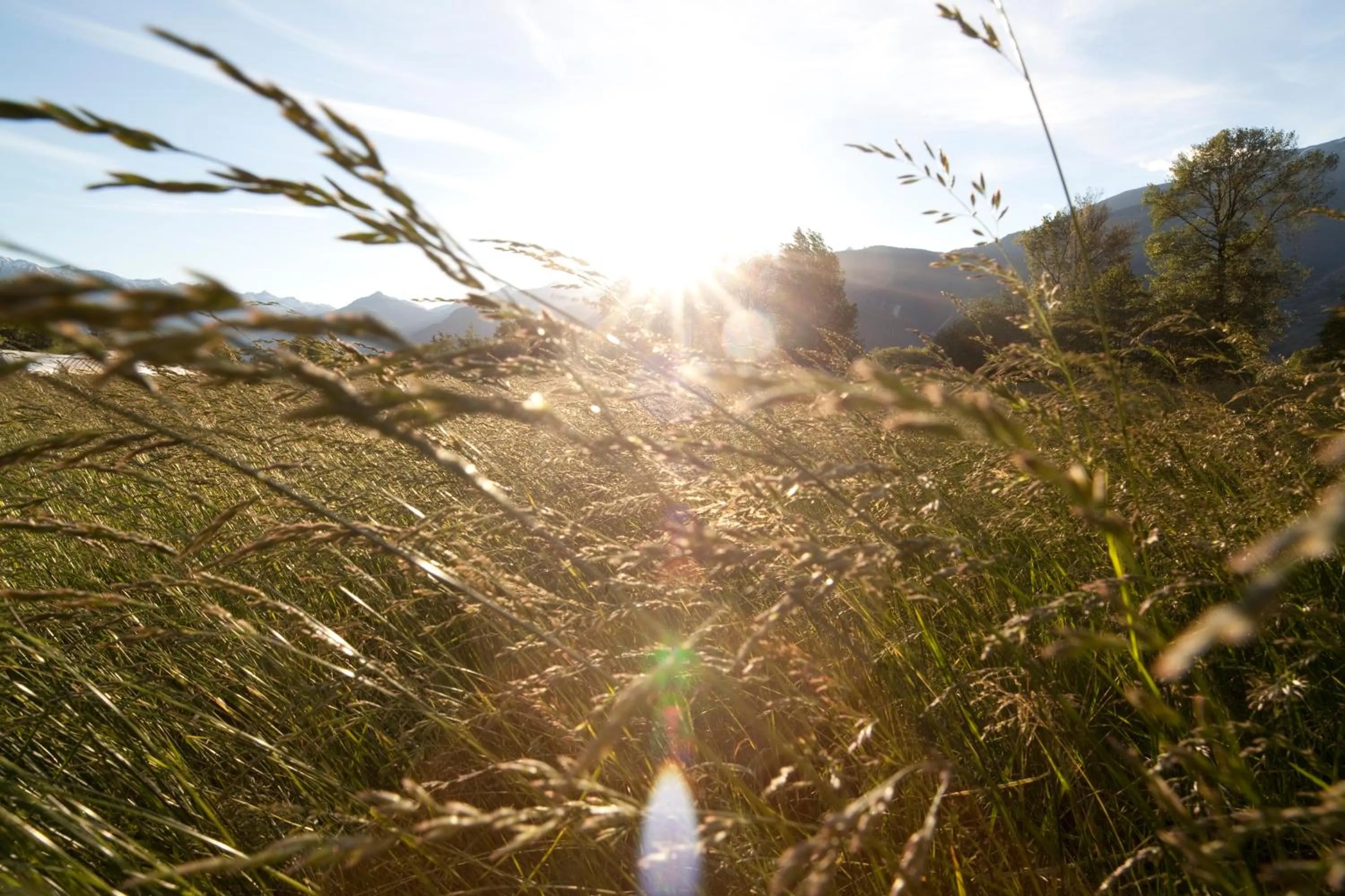 Cascina Borgofrancone