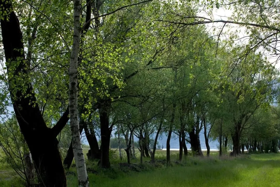 Cascina Borgofrancone