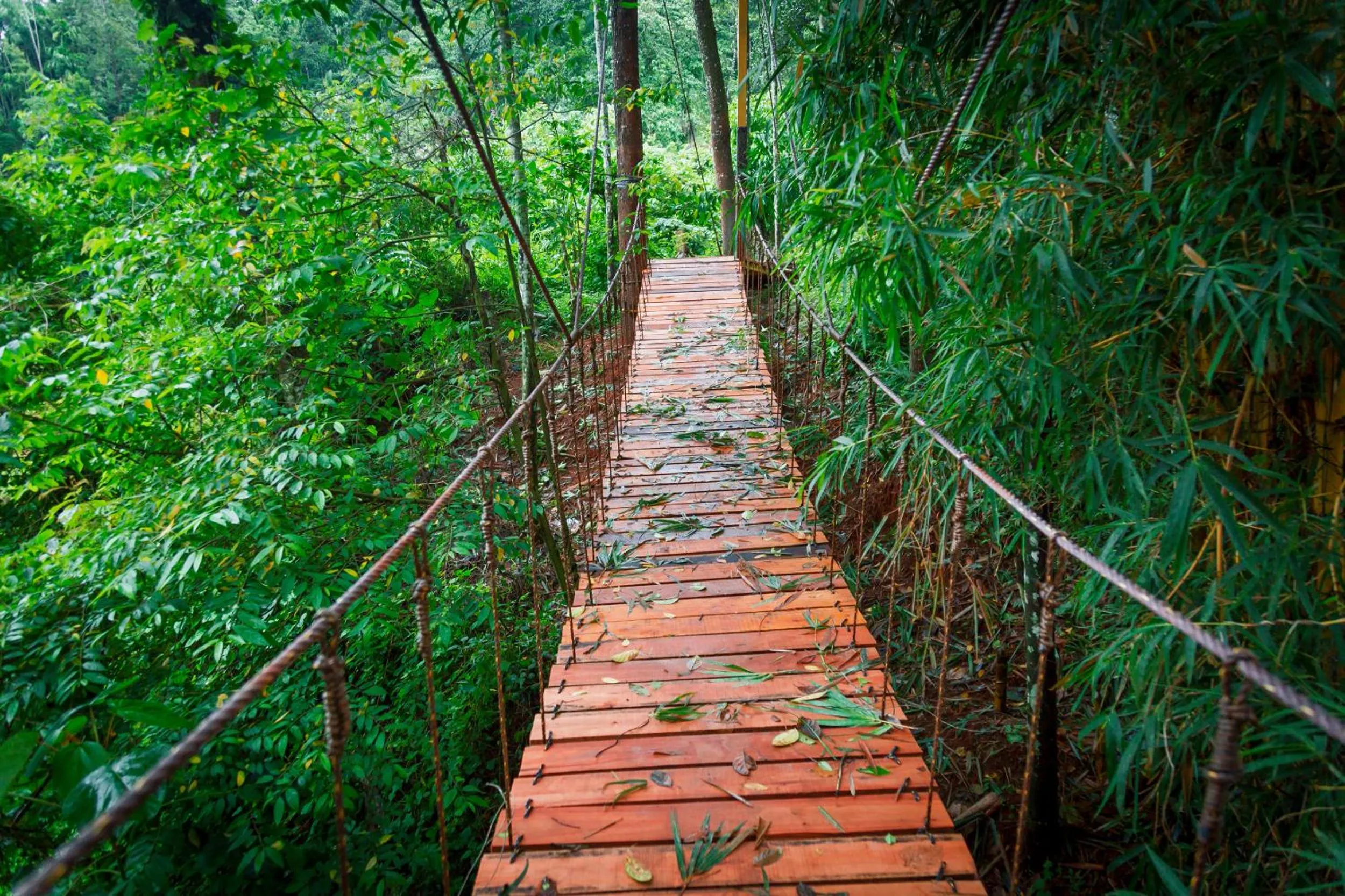 Natural landscape in The Serenity Resort