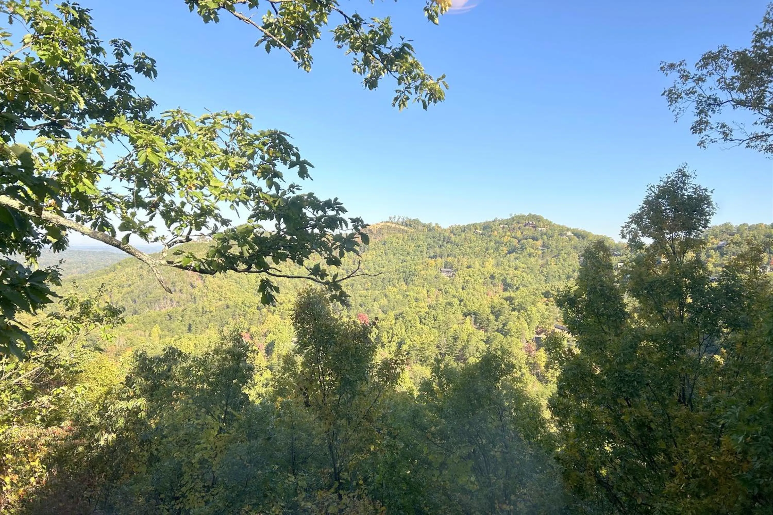 Natural landscape in Love Shack