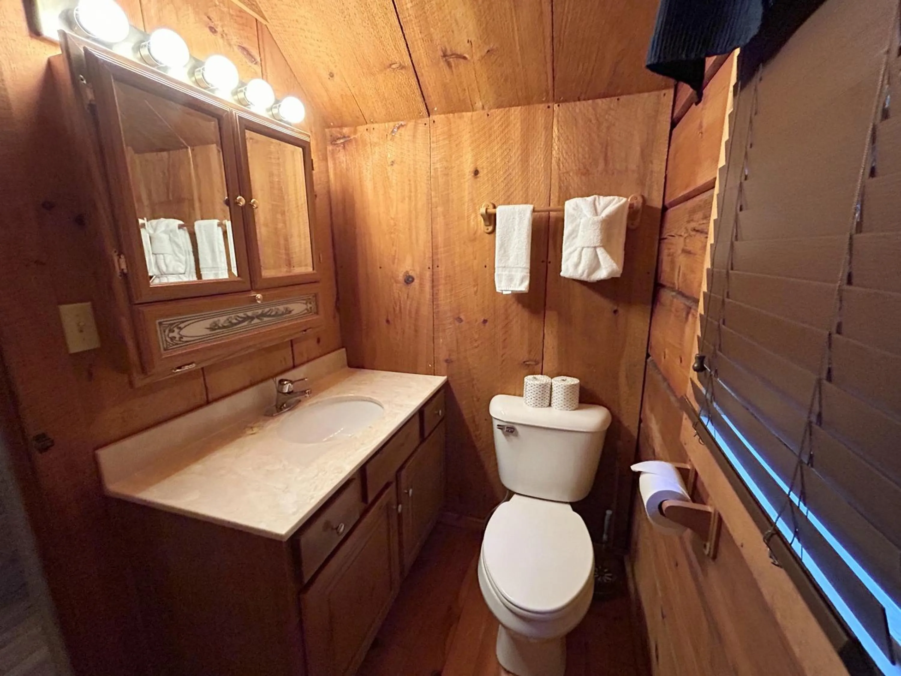 Toilet in Love Shack