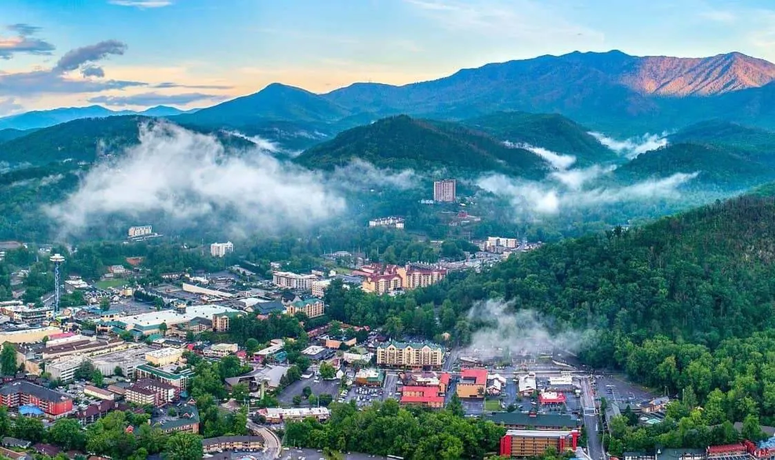 Natural landscape in Love Shack