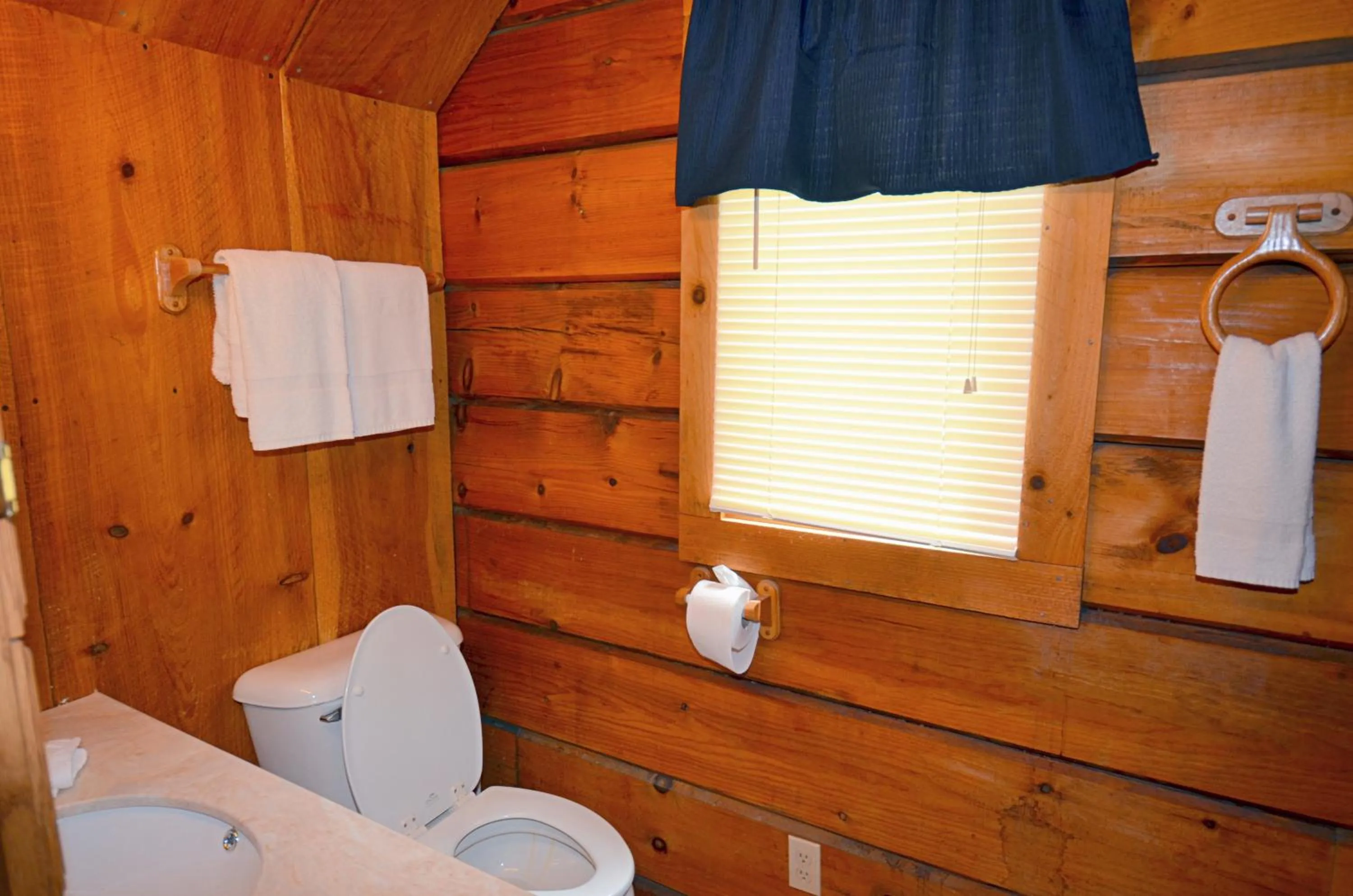 Toilet in Love Shack