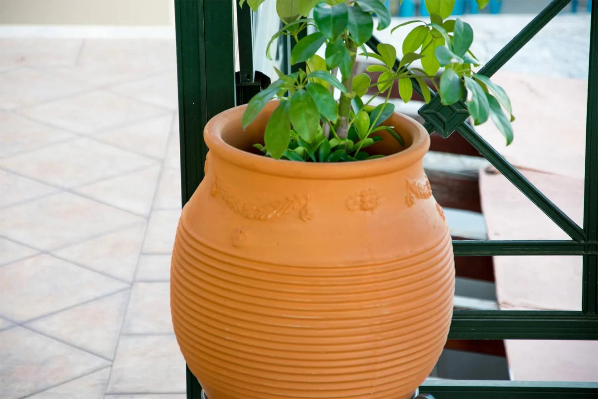 Saint Catherine Hotel