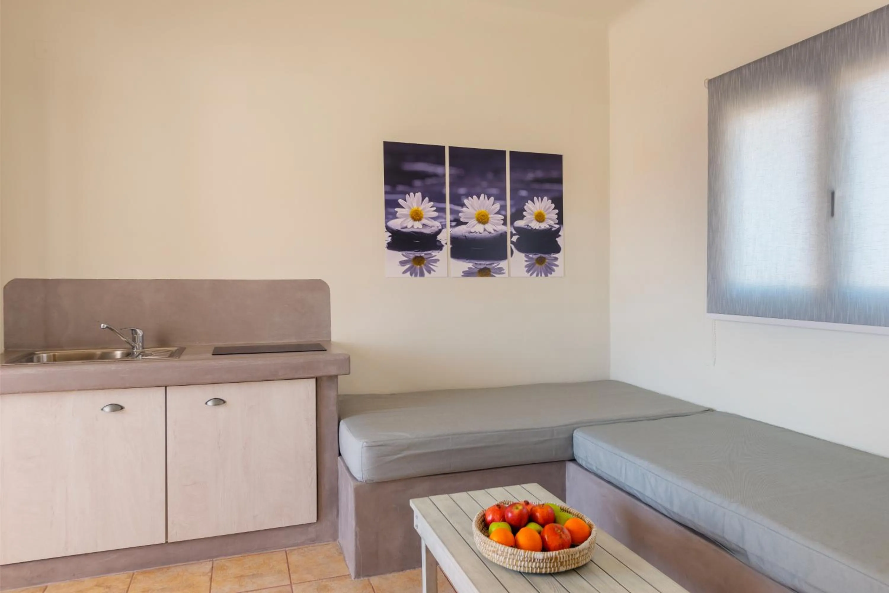 Kitchen or kitchenette in Aegean Paradiso Vacation Club - "Adults Only"