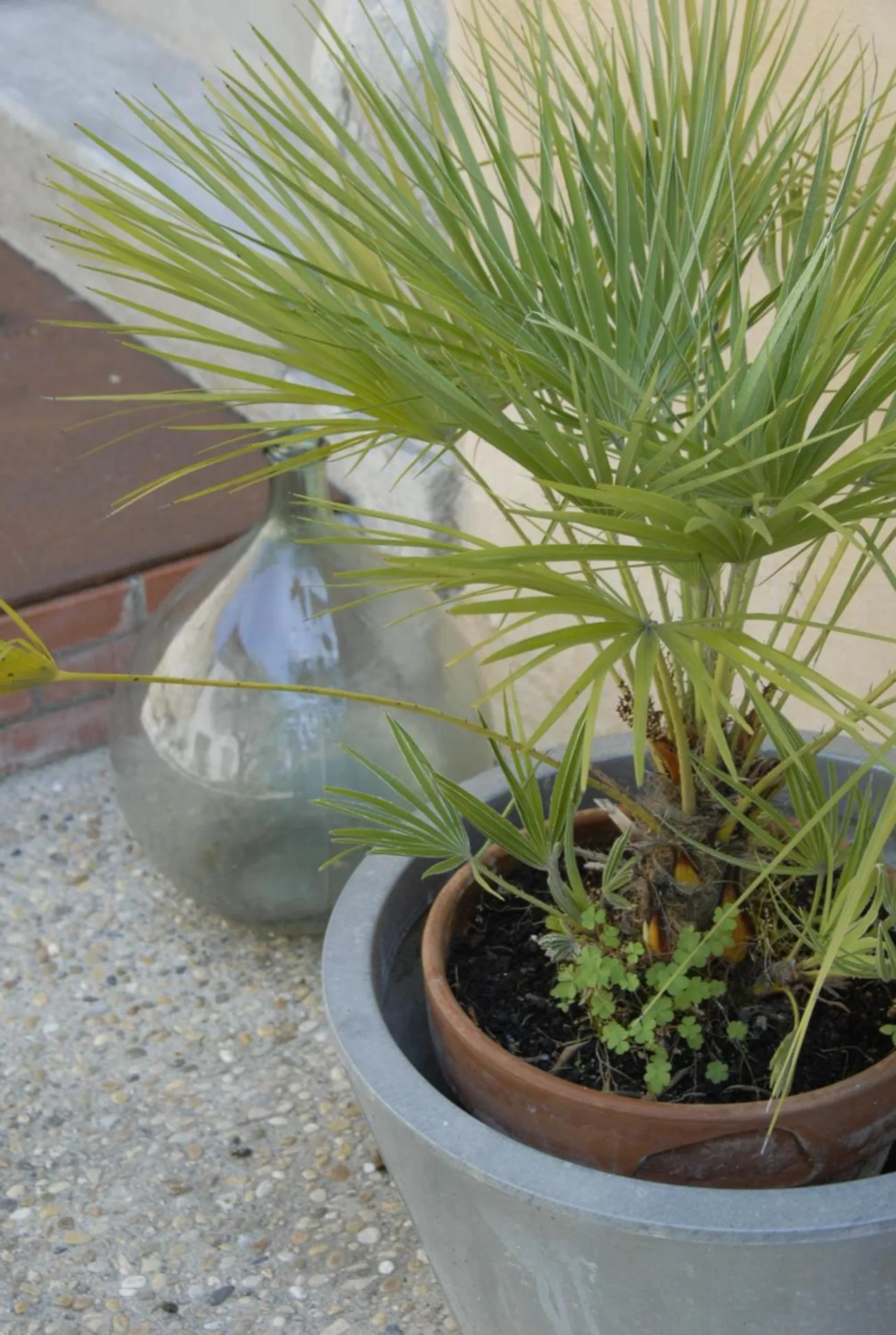 Garden in La Maison Vieille Maison d'Hôtes & Gîtes