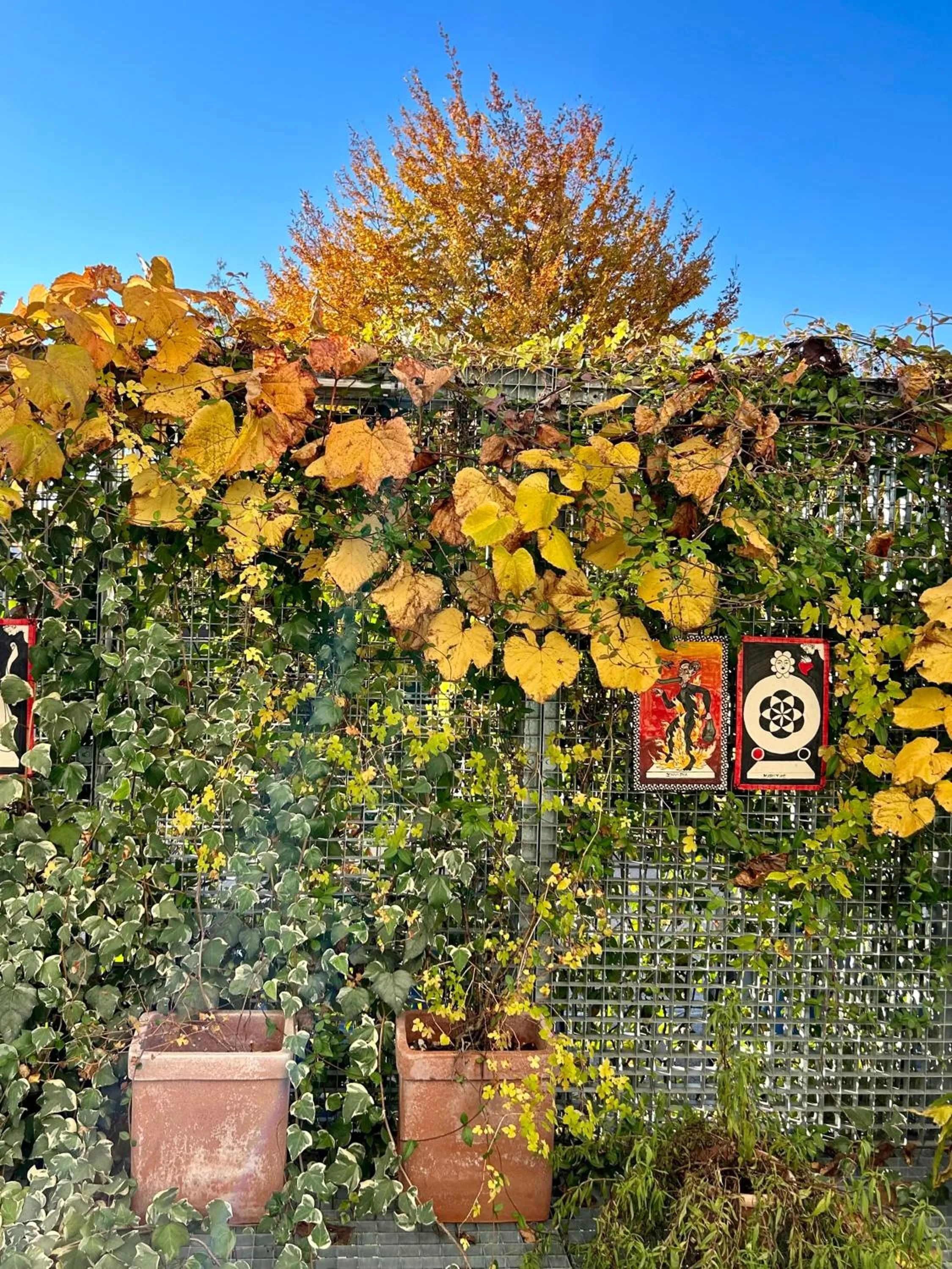 Garden in Le Nove Hotel