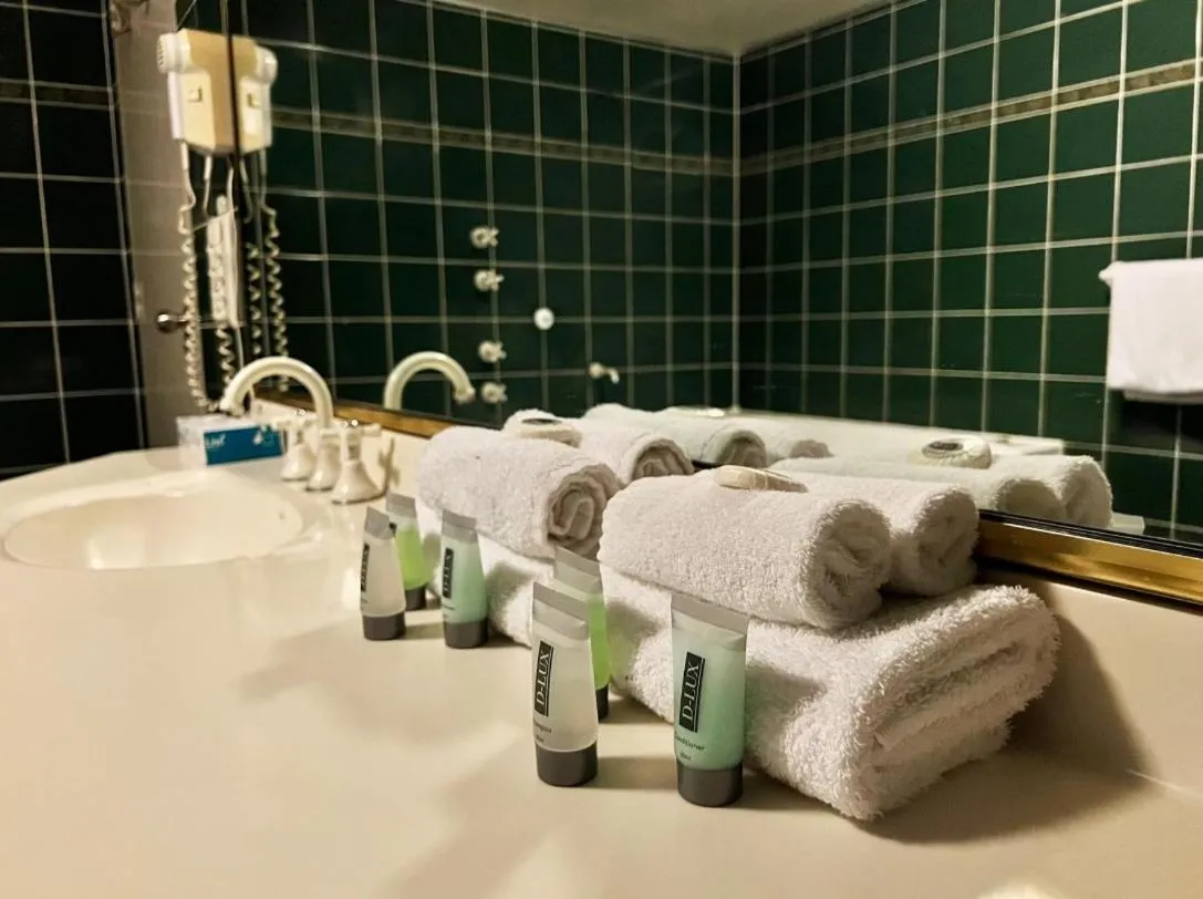 Bathroom in Stay at Alice Springs Hotel