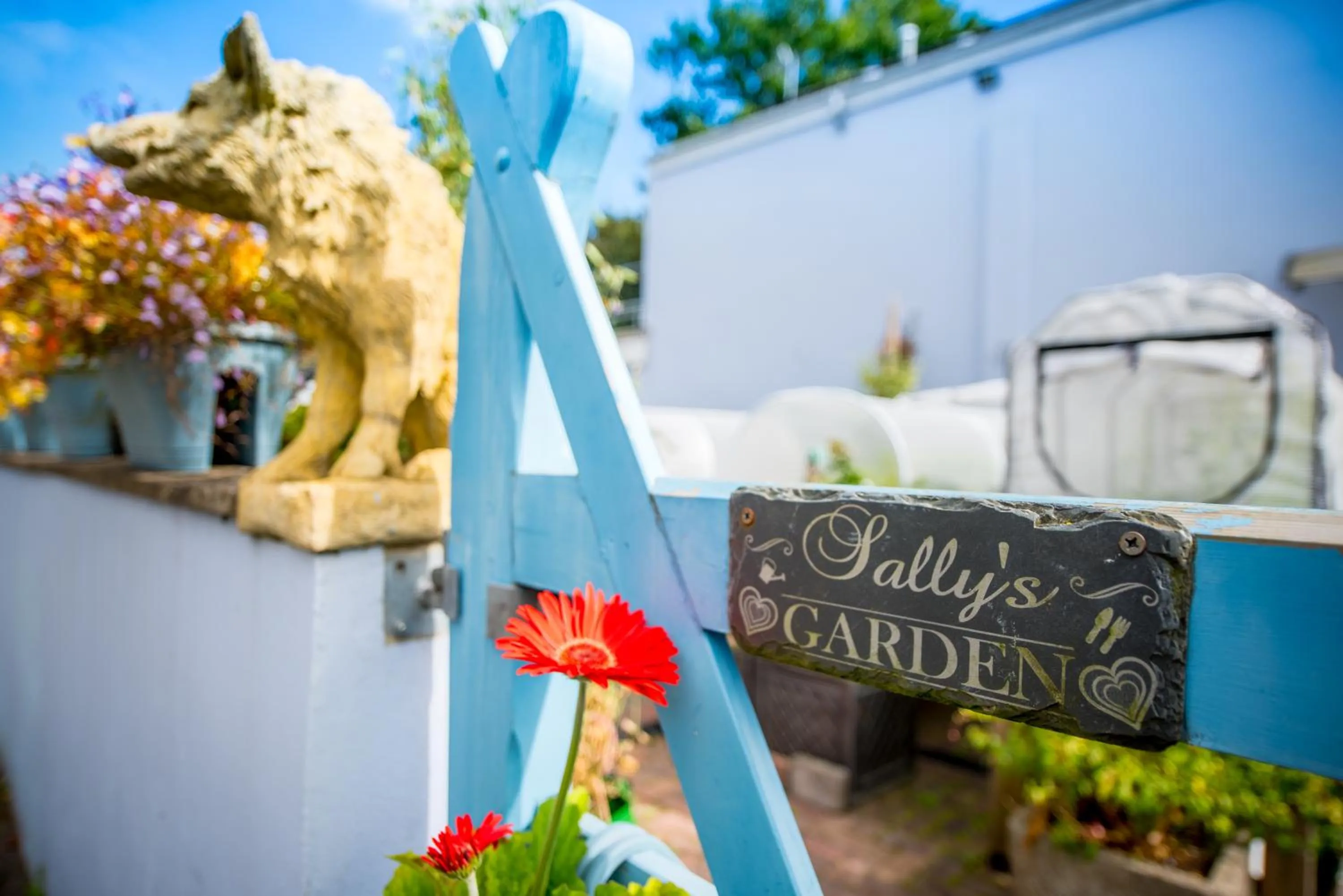 Garden view in The Coach House Hotel