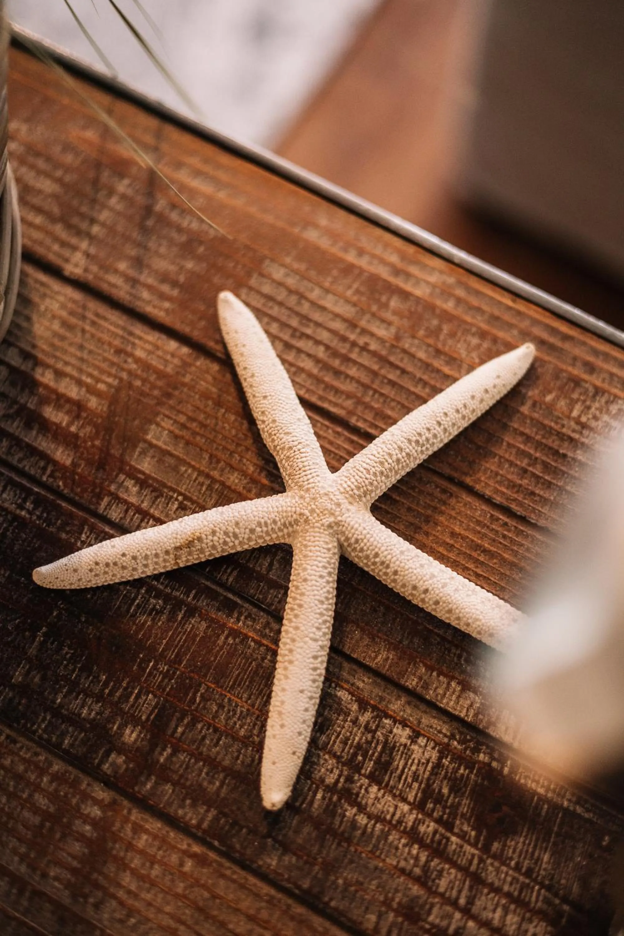 Boutique Hotel Villa Monika