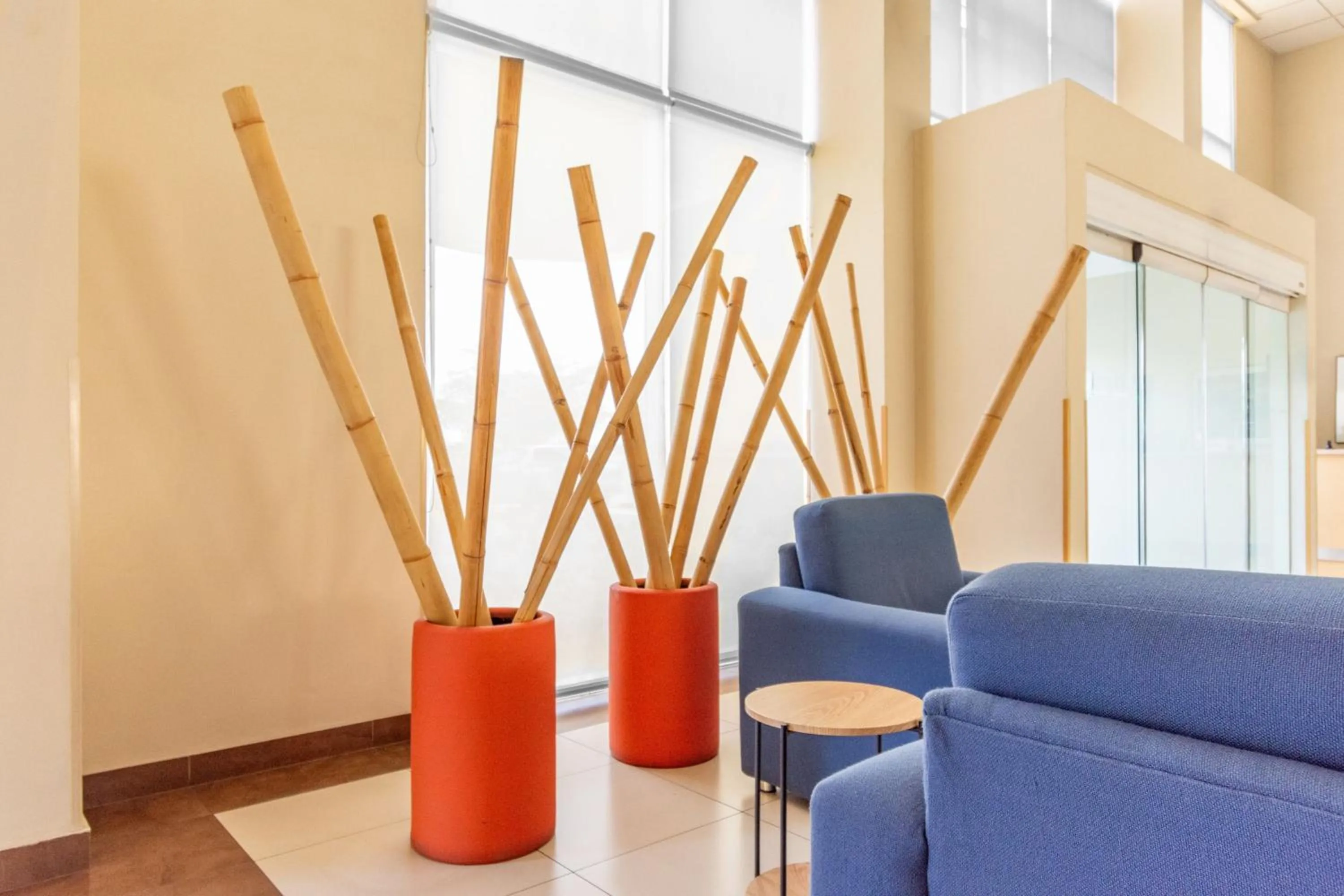 View (from property/room) in City Express by Marriott Ciudad Obregon