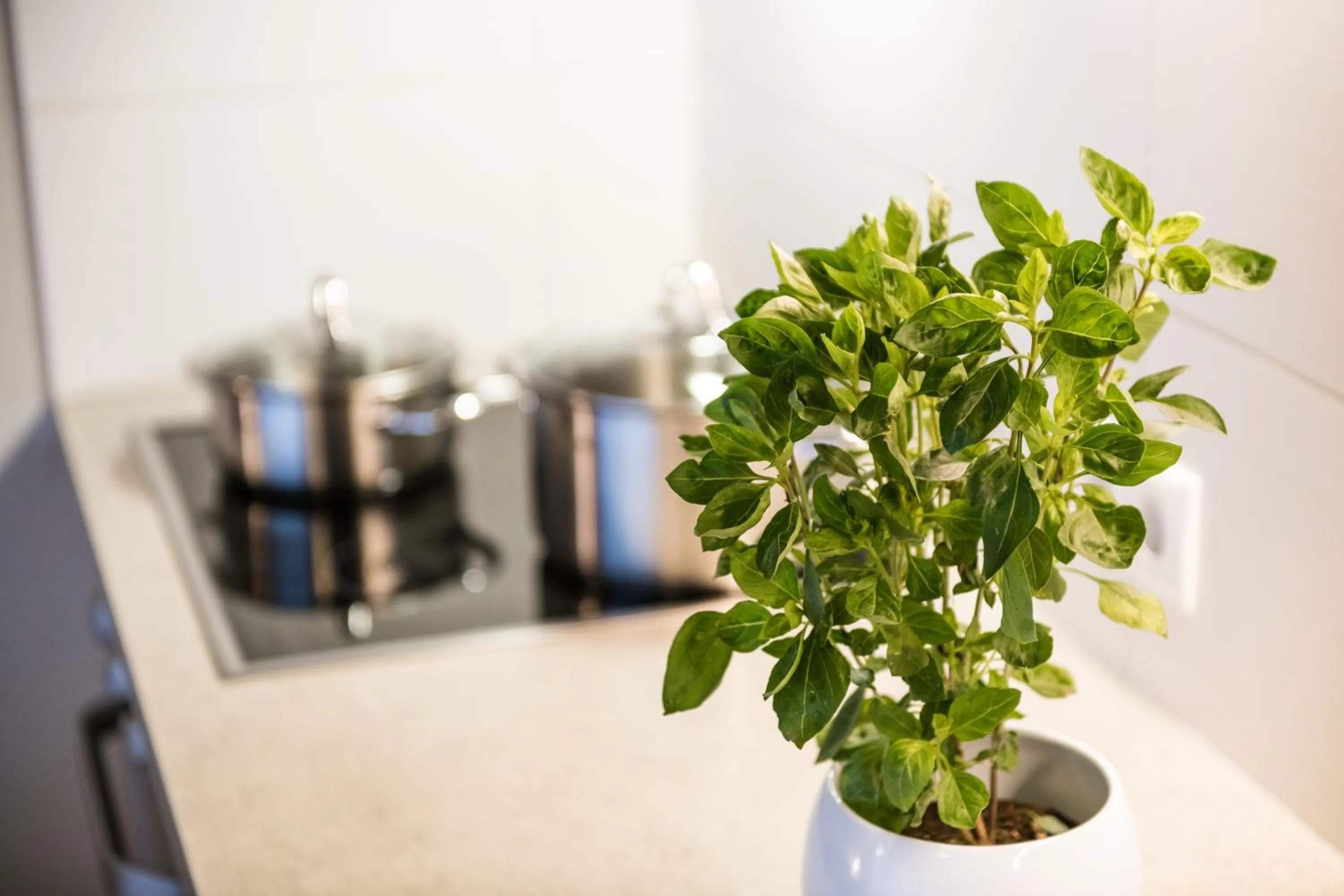 Kitchen or kitchenette in Chalet Vanzi