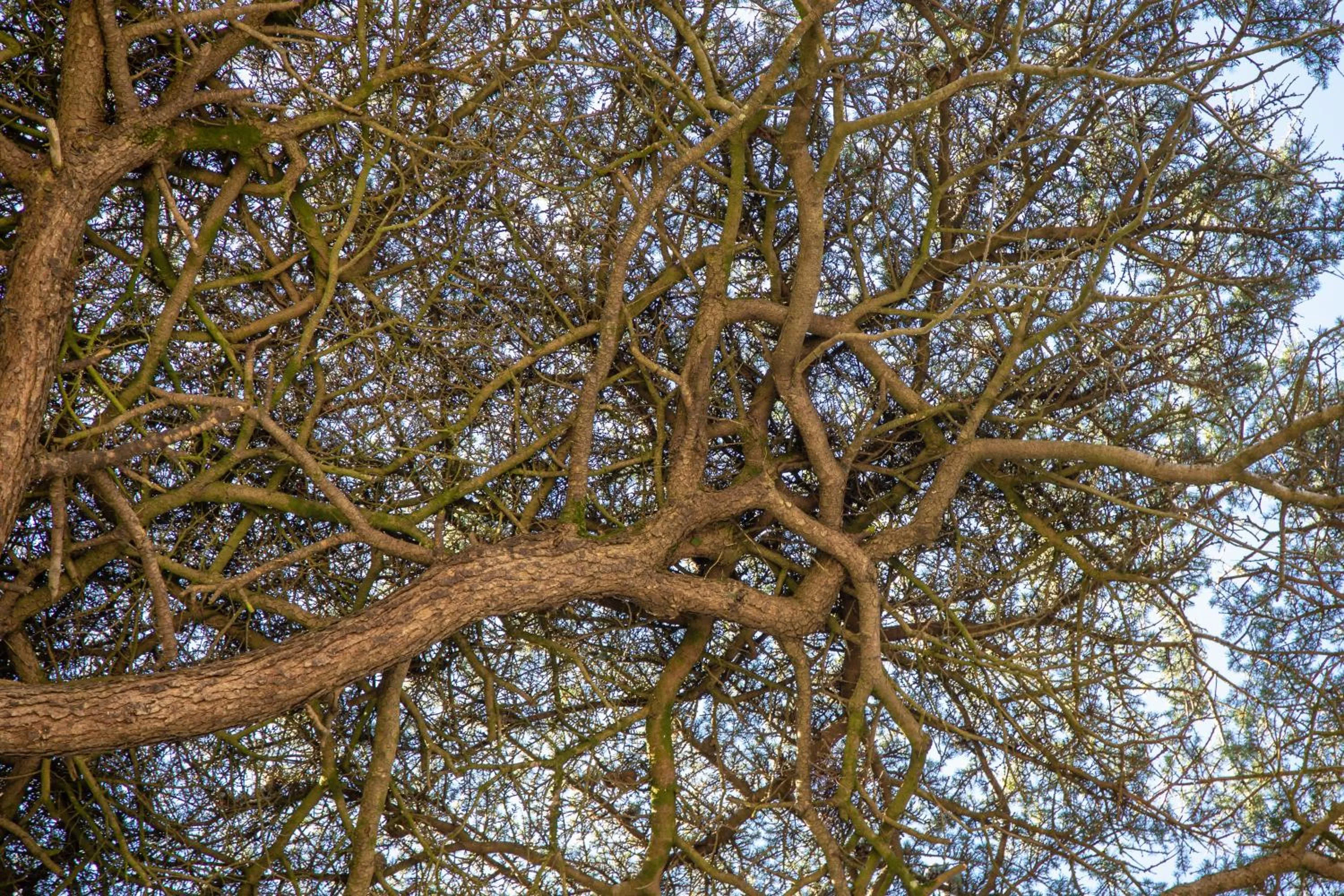 Property building in Clos de Bellefontaine B&B