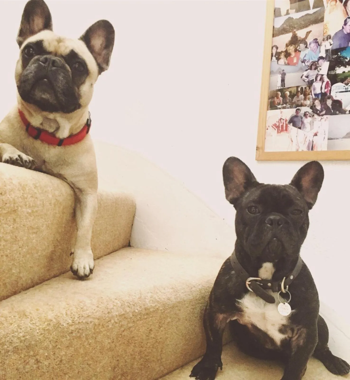 Other in Shakespeare's View