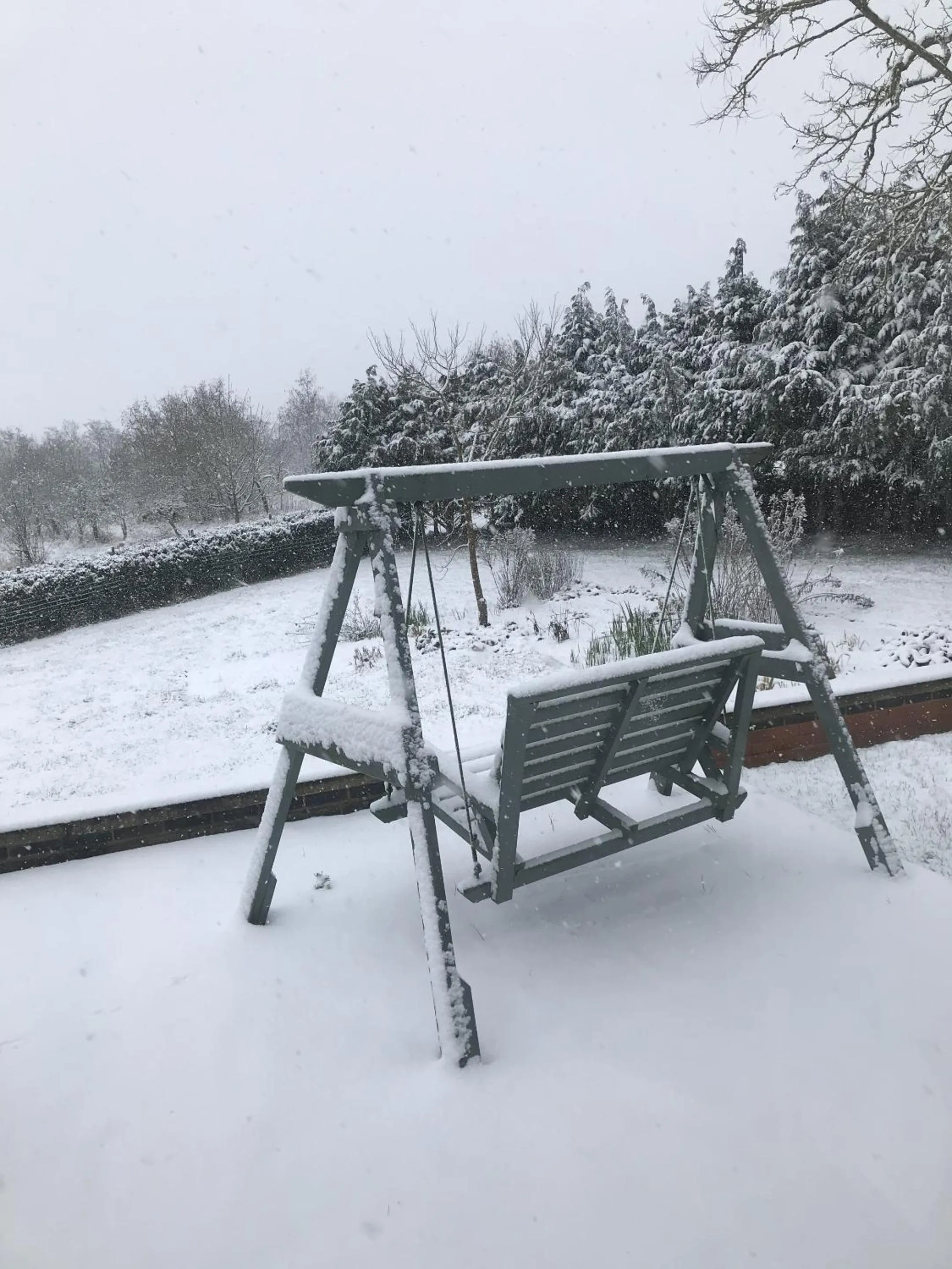 Other in Shakespeare's View