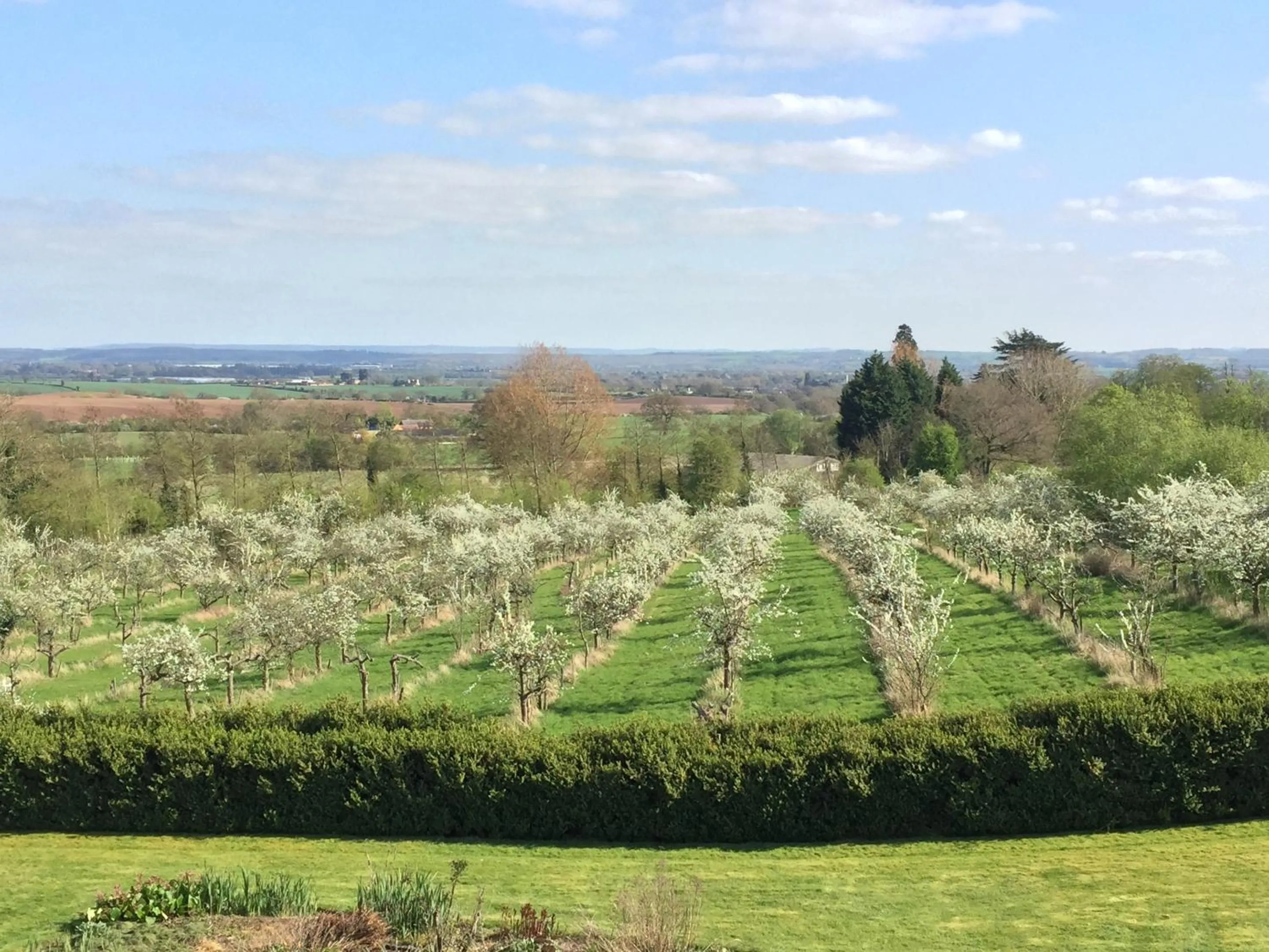 View (from property/room) in Shakespeare's View